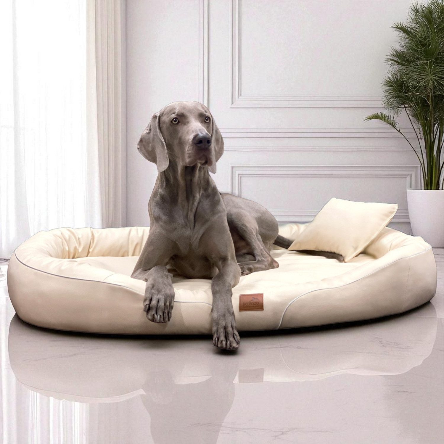 tierlando® Tierbett Orthopädisches Hundebett TIFFANY EASY günstig online kaufen
