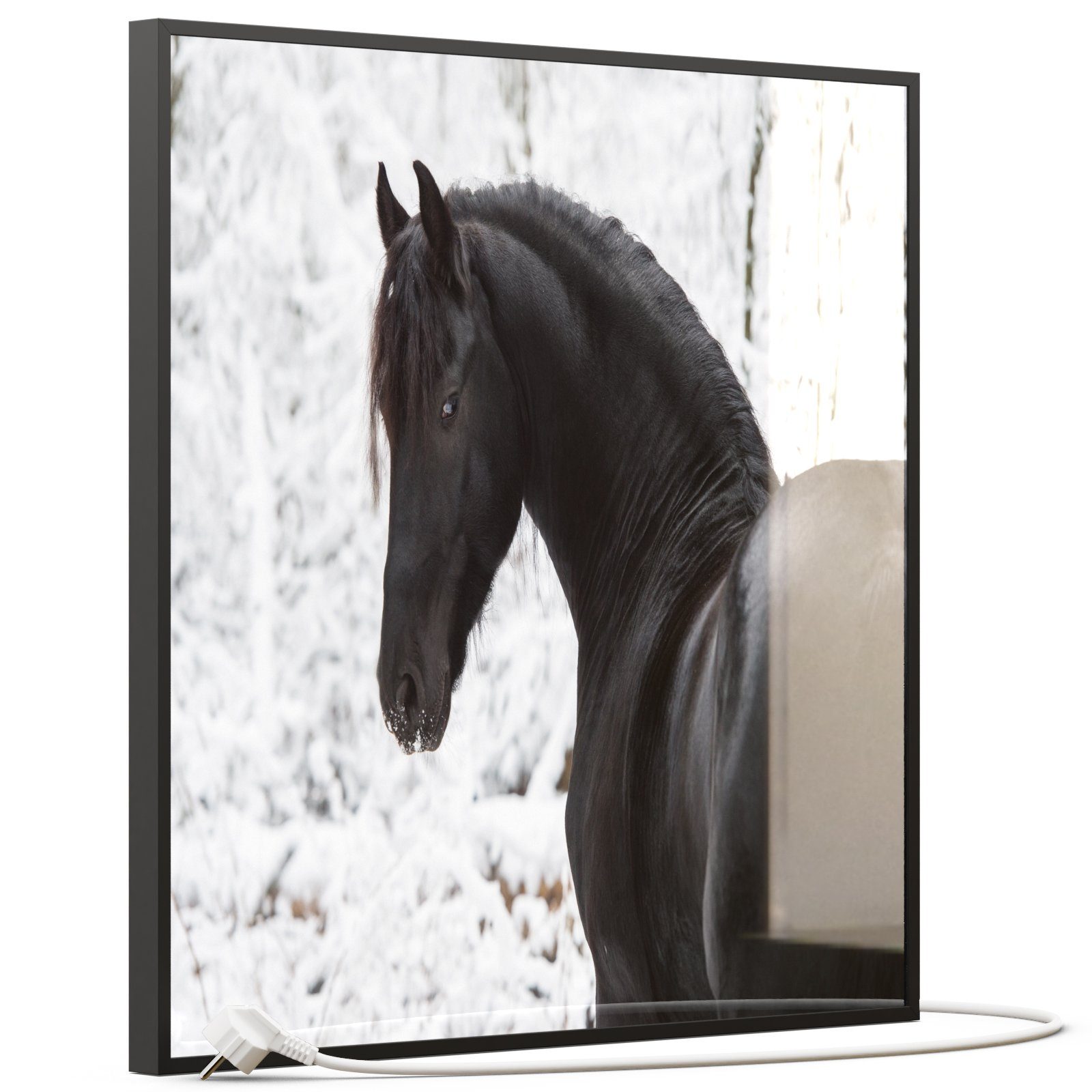 STEINFELD Heizsysteme Infrarotheizung, Glas Bild 350W-1200W, Inklusive Thermostat, 060 schwarzes Pferd