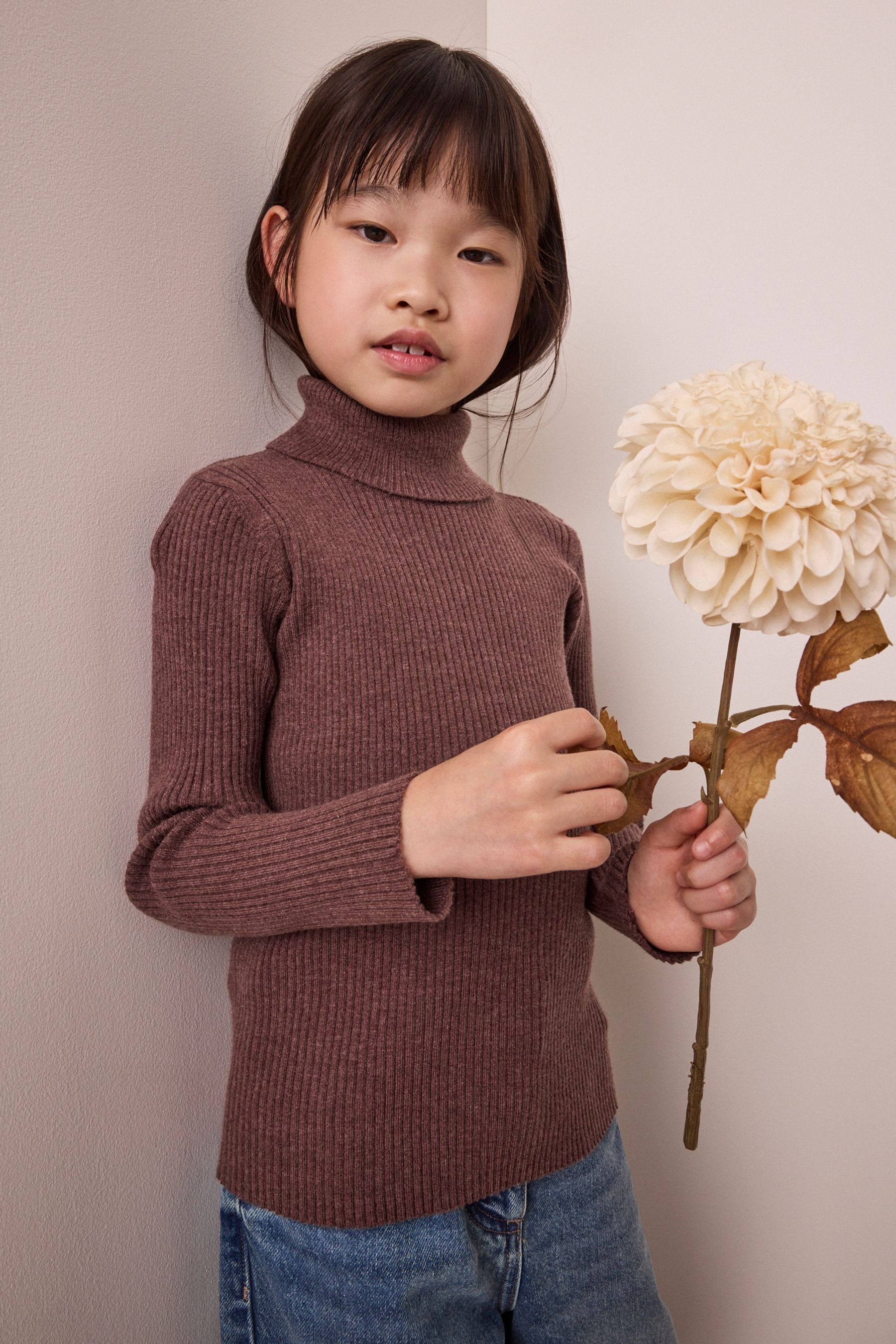 Next Strickpullover Rollkragenpullover (1-tlg)