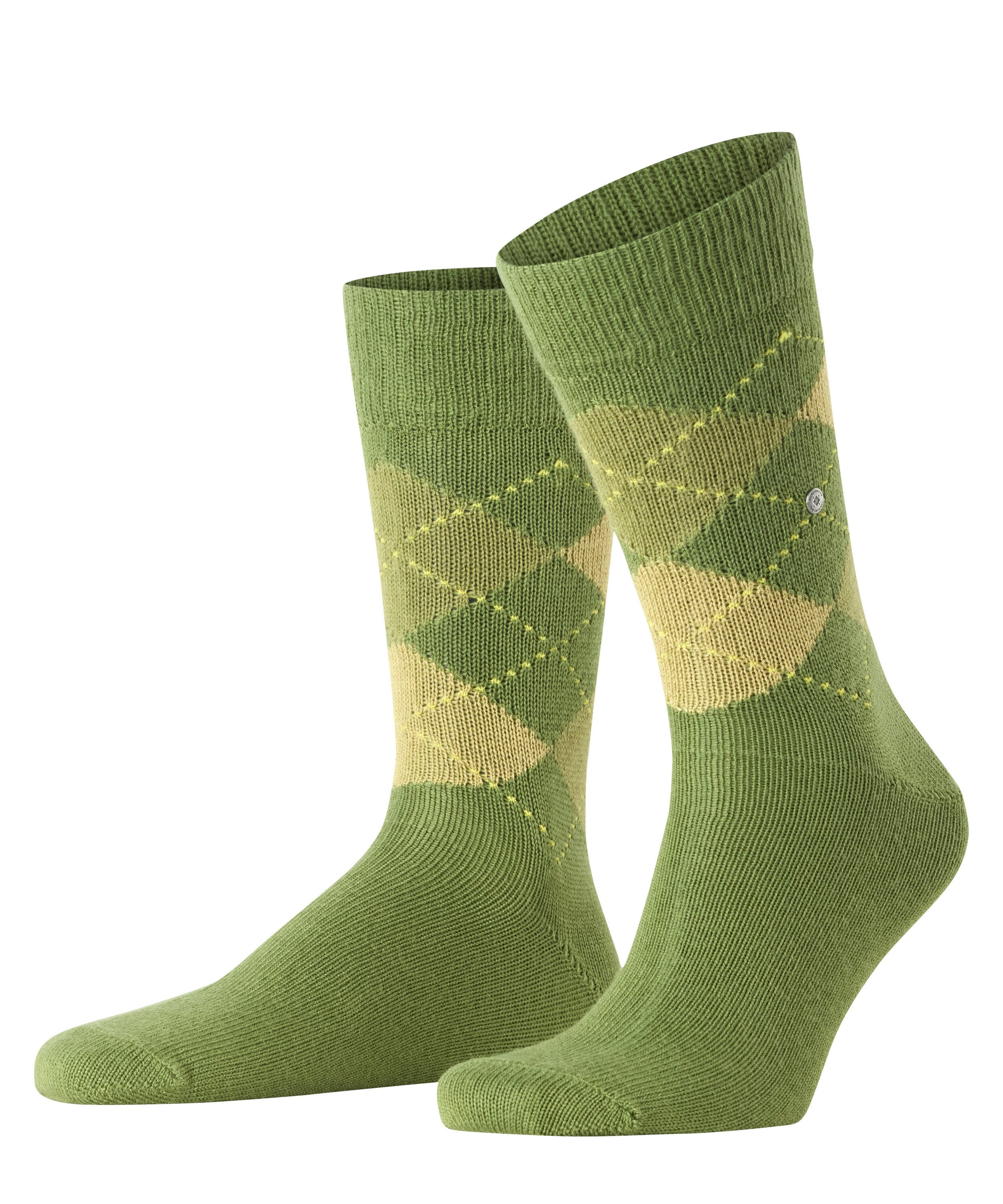 cactus (7653)