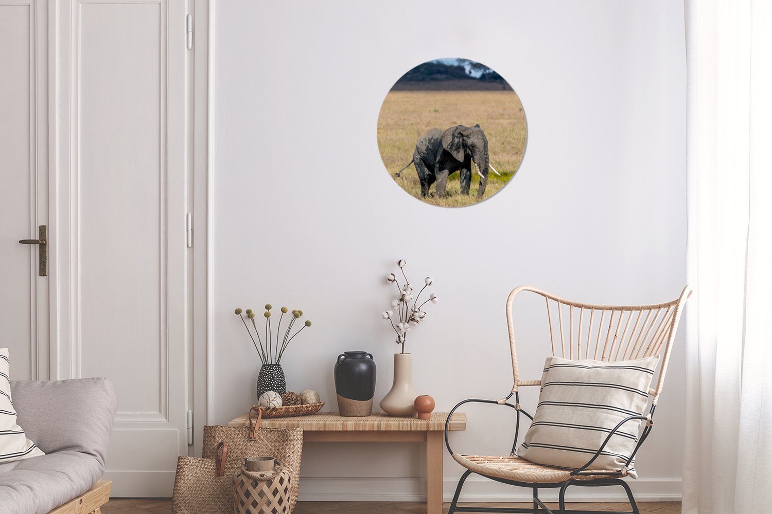 Forex, (1 Wandbild, MuchoWow Elefant Gemälde St), Wohnzimmer, - Natur, Rundes Tiere - 30x30 Kreis Gras Wanddekoration - cm