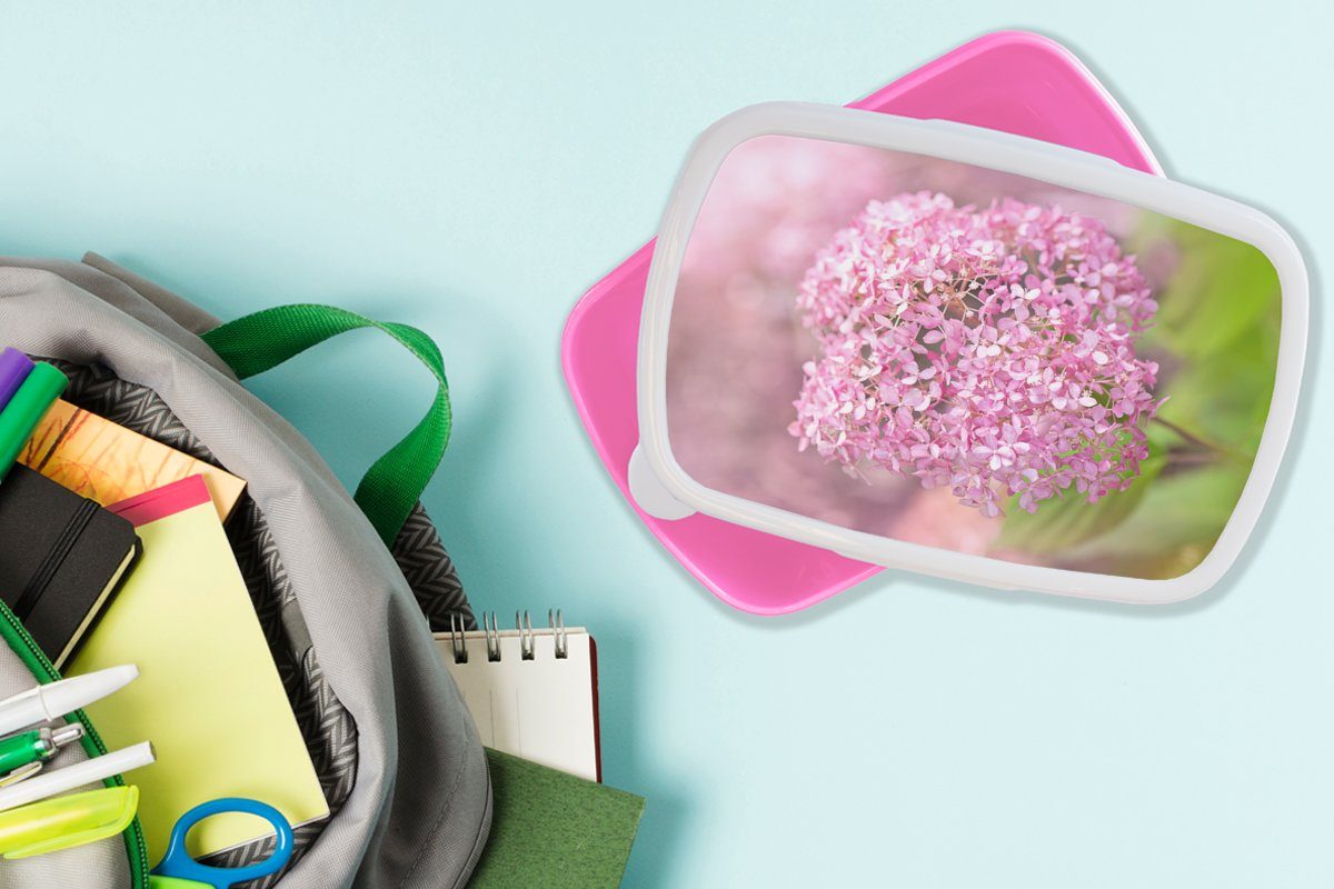 Brotbox MuchoWow Nahaufnahme einer Snackbox, Lunchbox (2-tlg), rosa Kunststoff, Kunststoff für Kinder, Erwachsene, Mädchen, Hortensie, Brotdose
