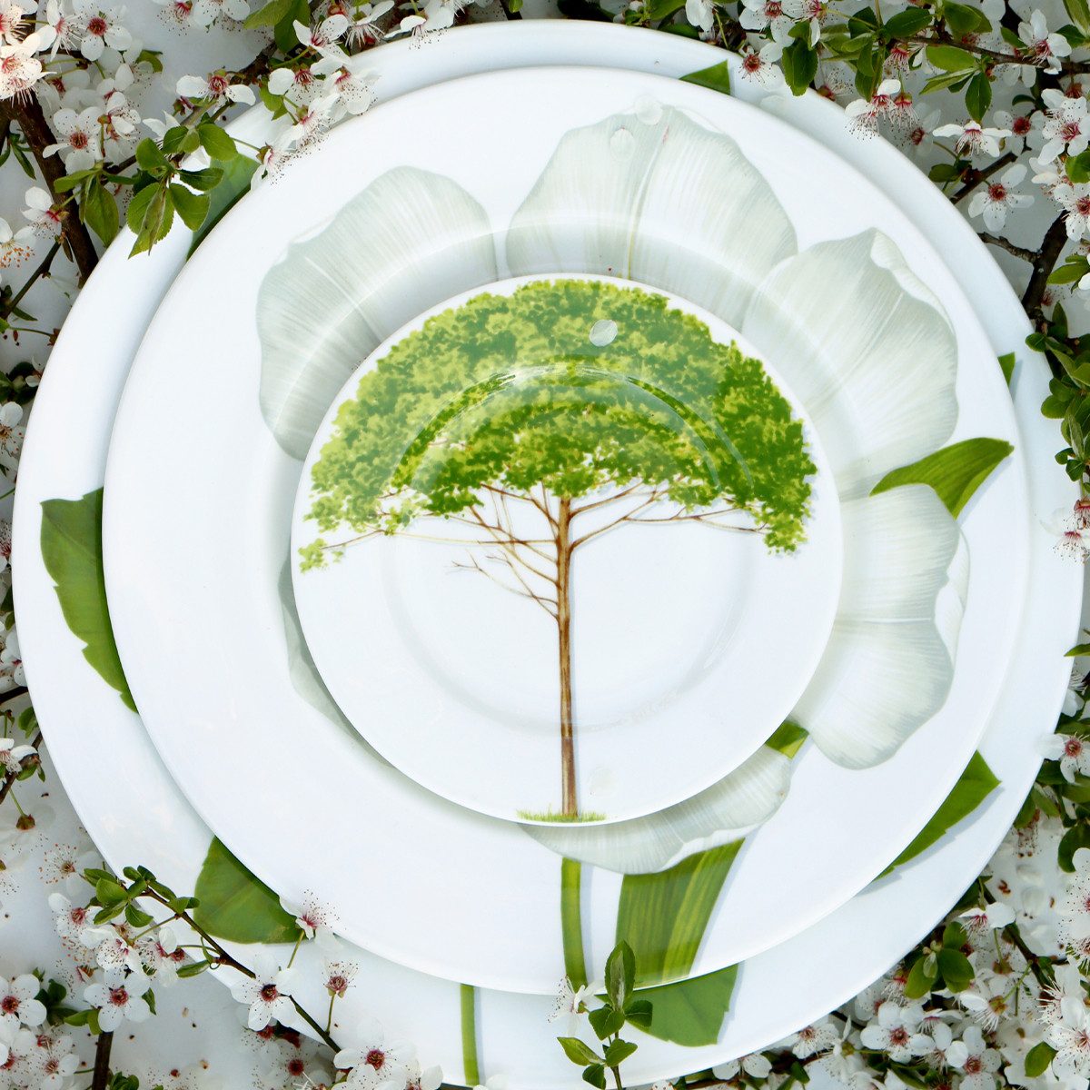 TAITÙ Suppenteller Freedom