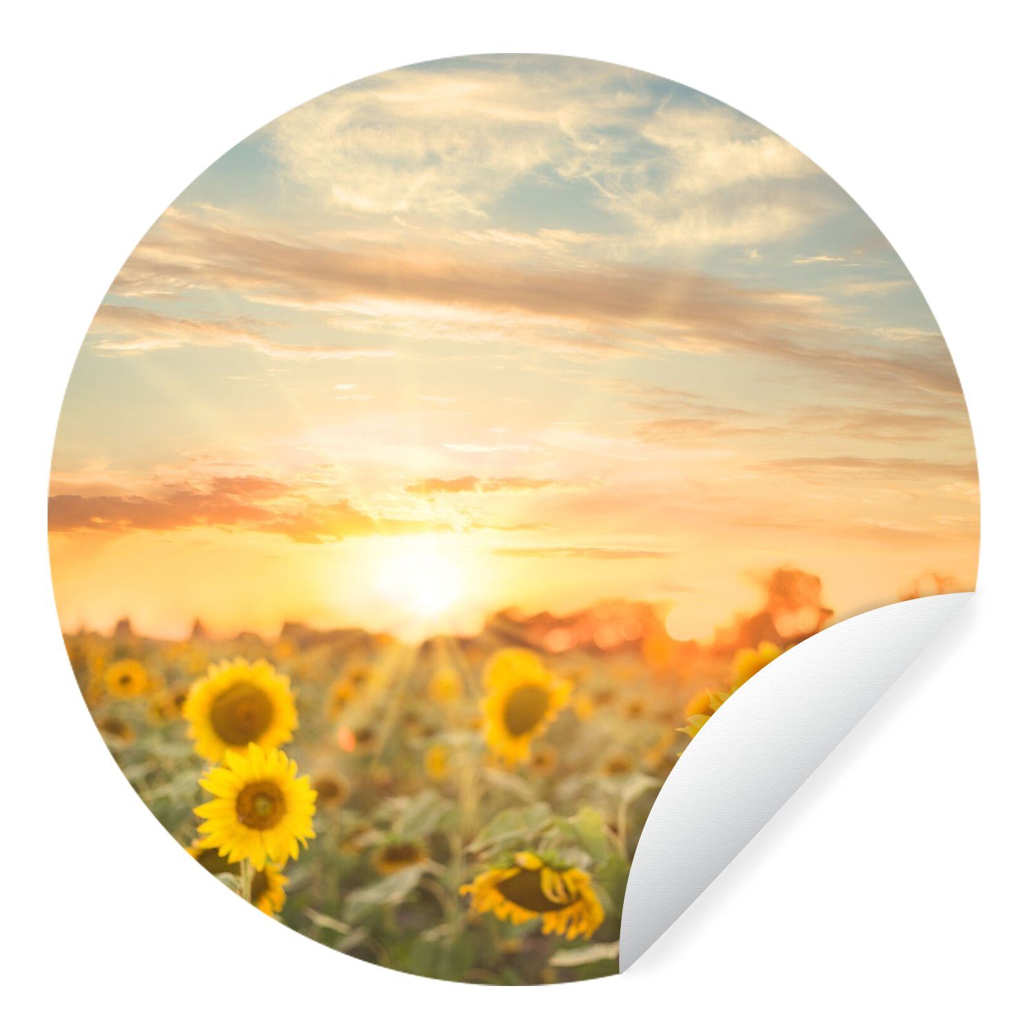 MuchoWow Wandsticker Sonnenblume - Sonne - günstig online kaufen