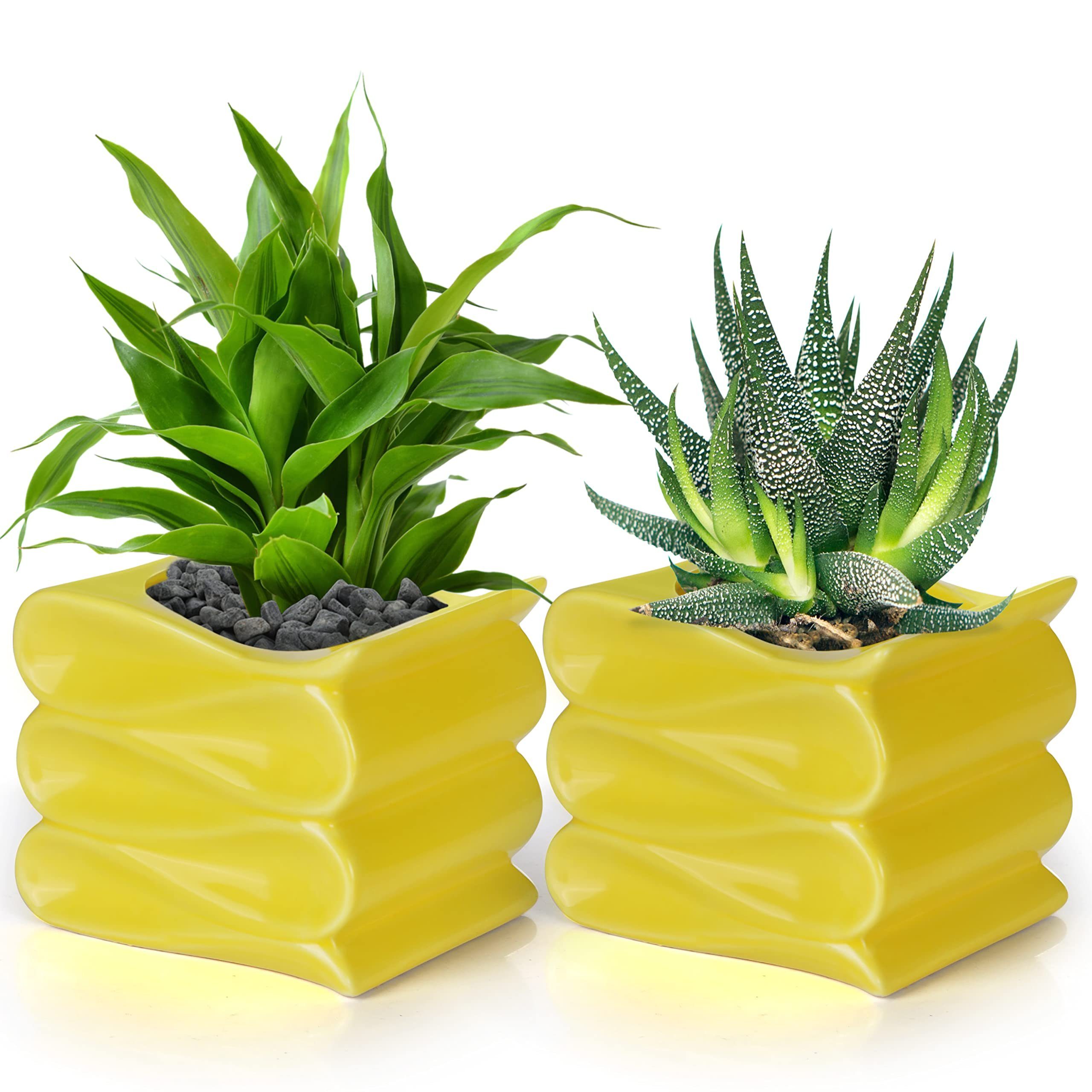 Belle Vous Kakteen, Moderne Keramik-Pflanzgefäß Kräuter, Cacti, for Design Succulents, 10cm Planter Ceramic Modern - Blumentopf Sukkulenten, für Herbs 10cm