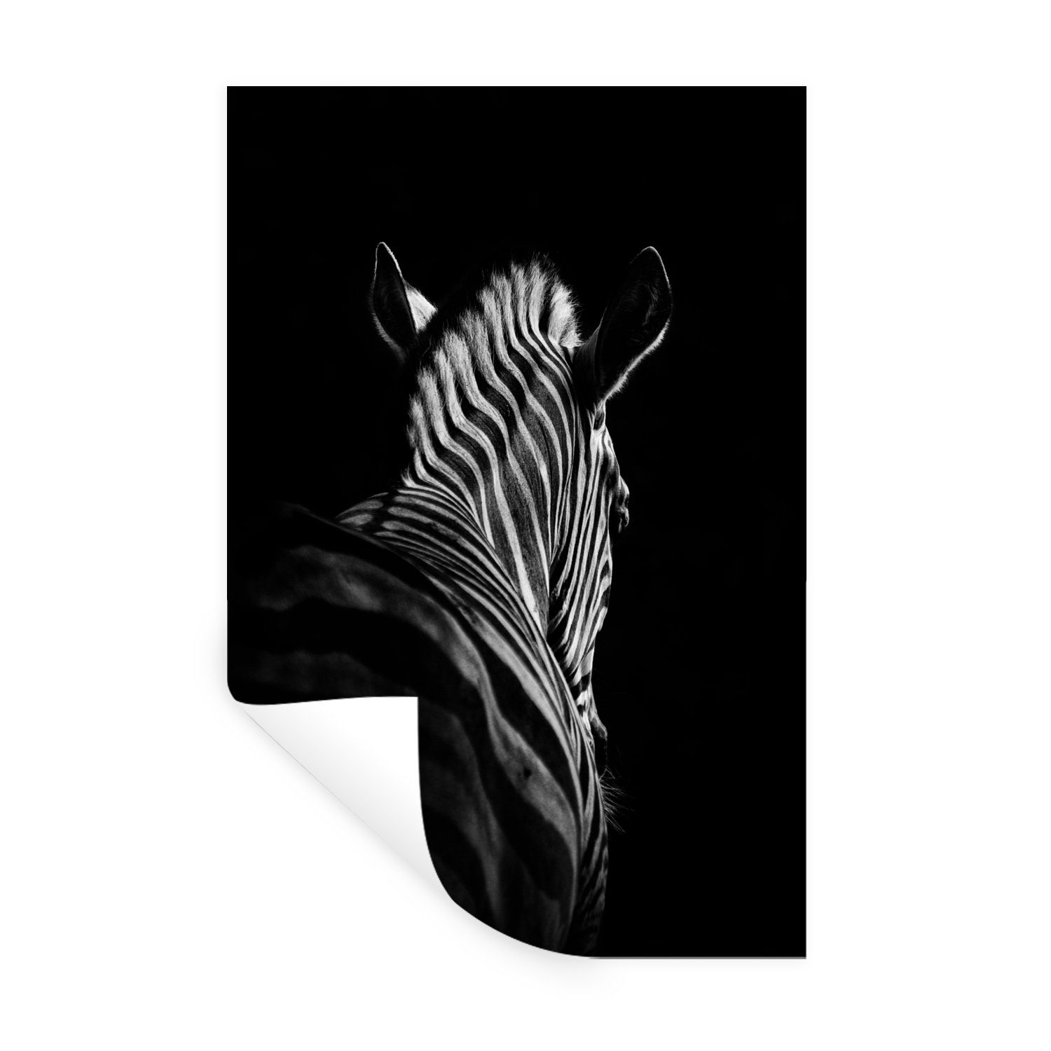 MuchoWow Wandsticker Zebra - Tier - Schwarz und weiß - Wildtiere (1 St), Wandaufkleber, Wandtattoo, Selbstklebend, Wohnzimmer, Schlafzimmer