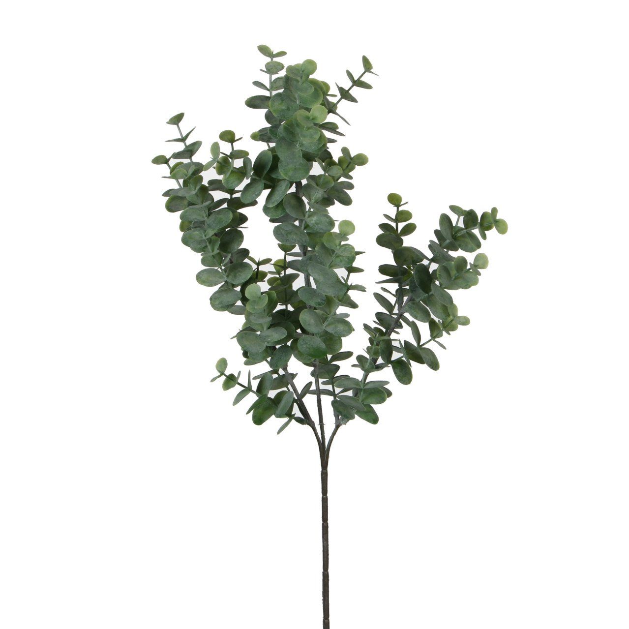 Kunstpflanze Mica künstlicher Eucalyptus grün 65 cm