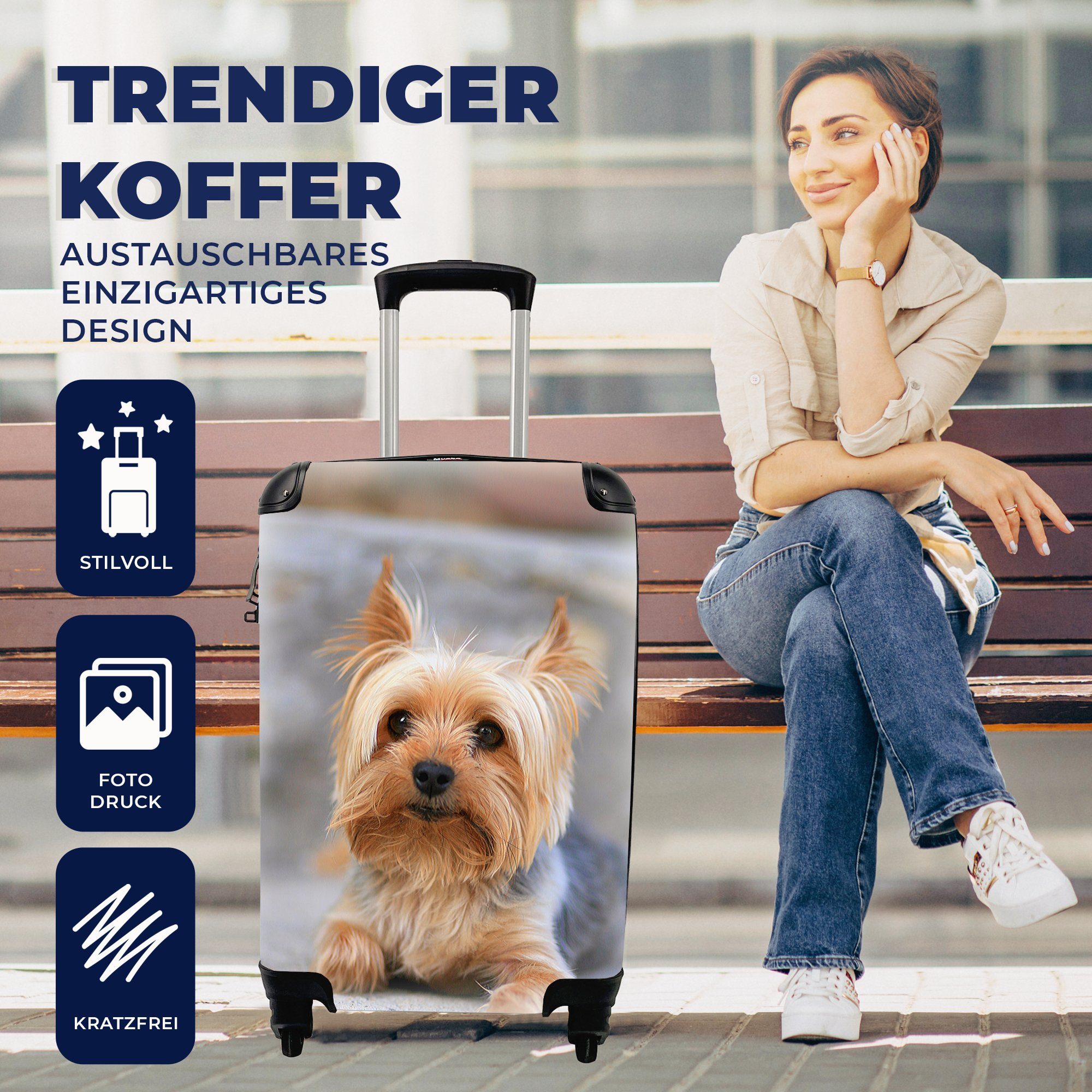 Trolley, liegt Handgepäckkoffer Reisetasche MuchoWow mit auf Teppich, 4 Rollen, Reisekoffer Yorkshire Terrier weichen Handgepäck für rollen, bequem dem Ferien,