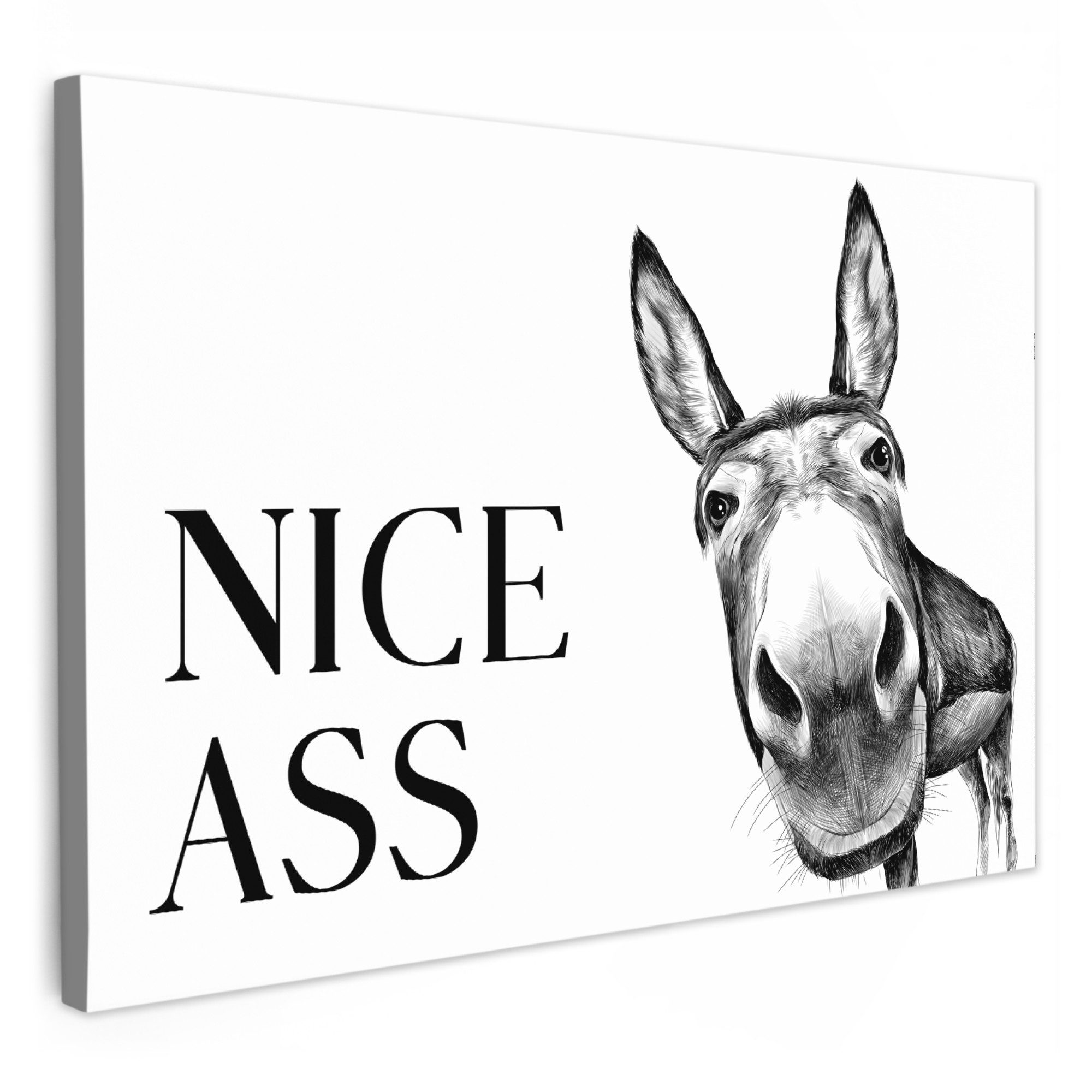 OneMillionCanvasses® Leinwandbild Zitat - Esel - Dieren - Nice ass - Sprüch günstig online kaufen