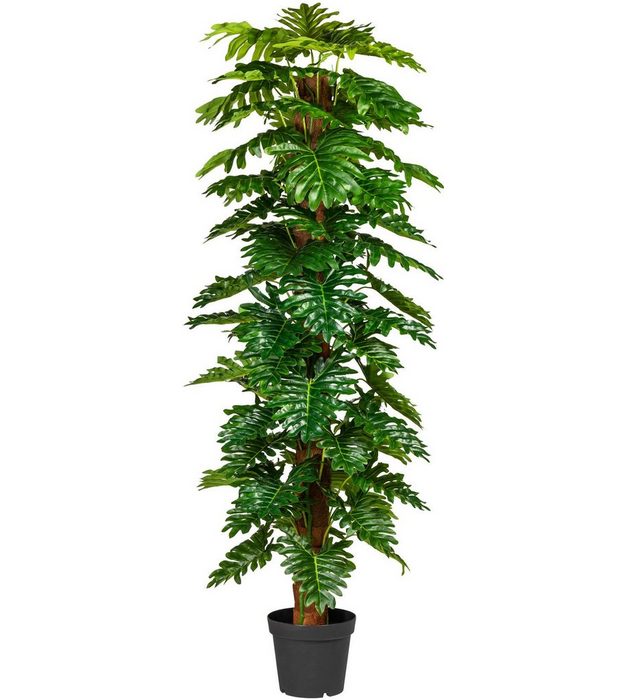 Künstliche Zimmerpflanze Monsterapflanze Grünpflanze Creativ green Höhe 190 cm