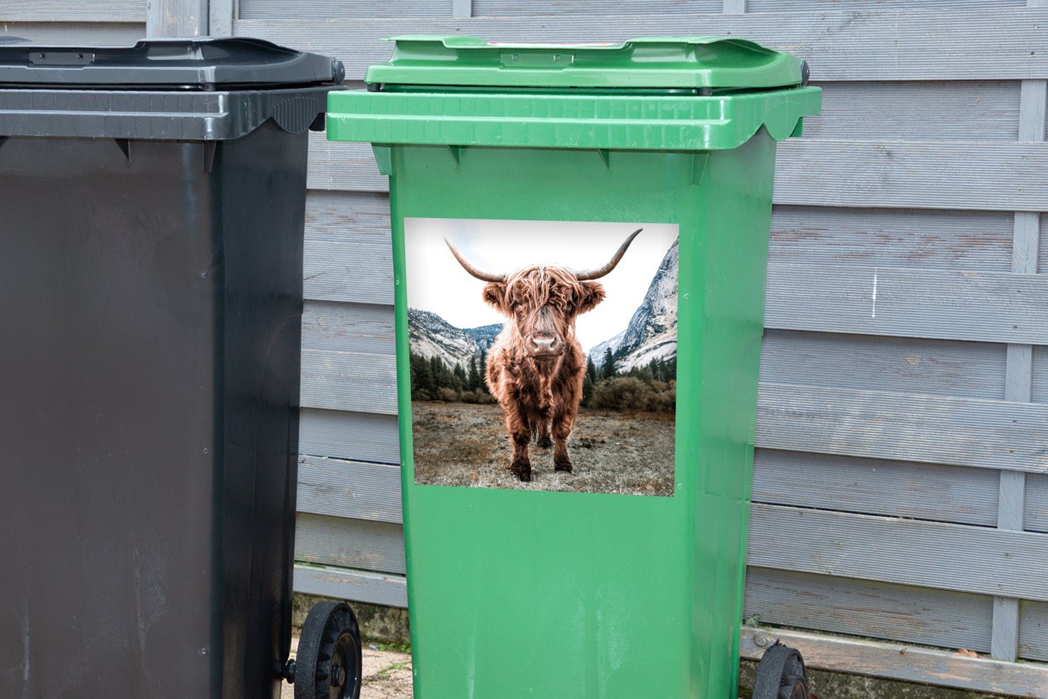MuchoWow Wandsticker Schottischer Highlander Tiere (1 Mülleimer-aufkleber, - St), Mülltonne, Sticker, Berg Abfalbehälter - Container