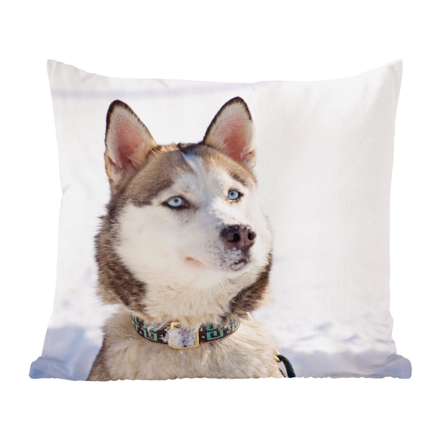 MuchoWow Dekokissen Sibirischer Schlittenhund im Schnee, Zierkissen mit Füllung für Wohzimmer, Schlafzimmer, Deko, Sofakissen