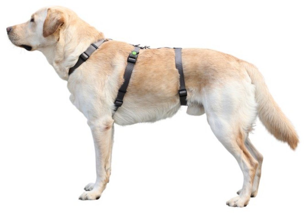 Kerbl Hunde-Sicherheitsgeschirr Panikgeschirr Miami 38 cm - 52 cm Brustumfang grau 80040