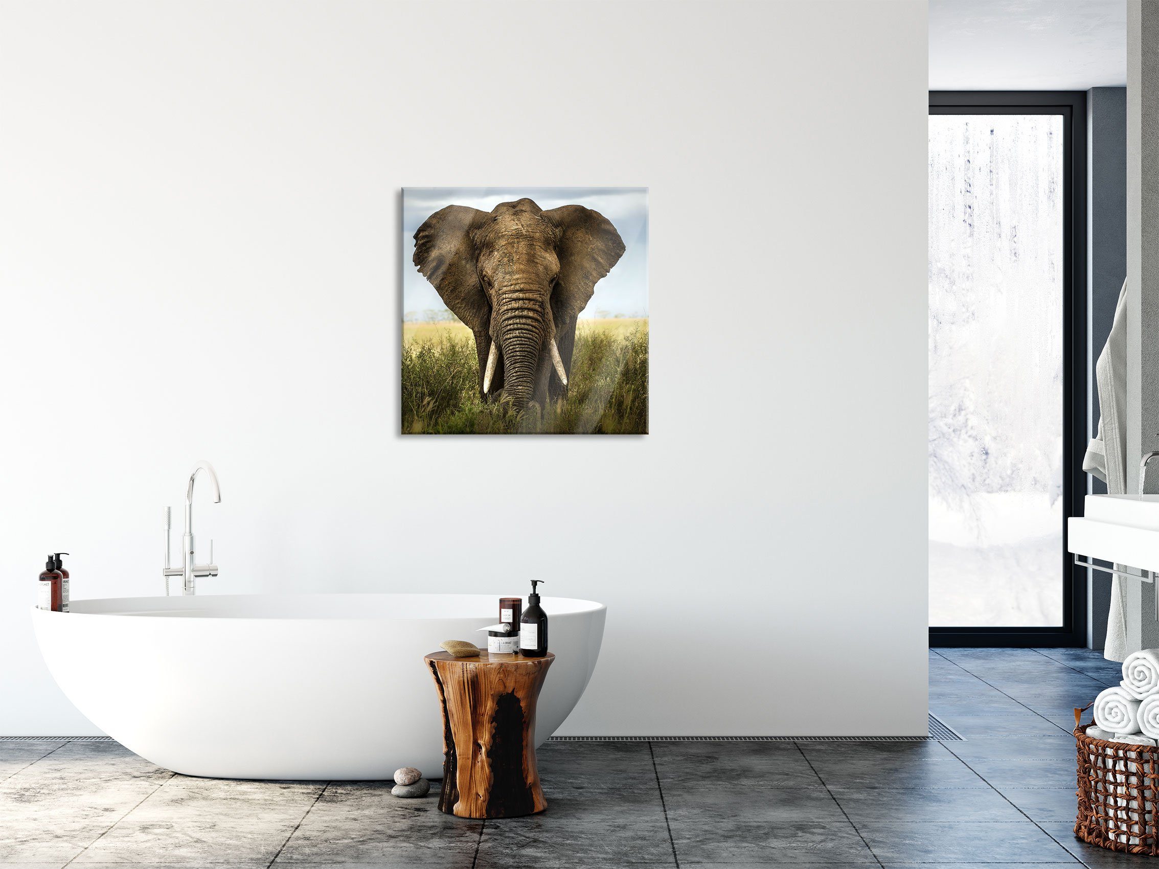Glasbild St), inkl. Glasbild Imposanter Aufhängungen und Abstandshalter Imposanter Pixxprint (1 aus Echtglas, Elefant, Elefant