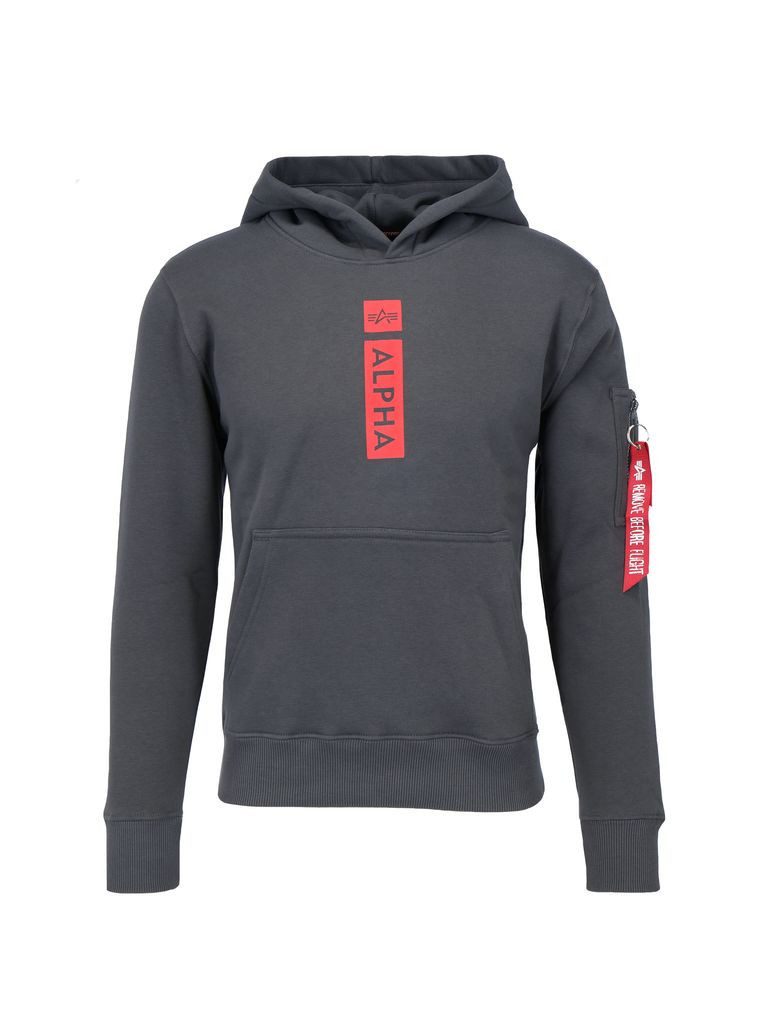 Hoodie Alpha Puff Print Hoodie