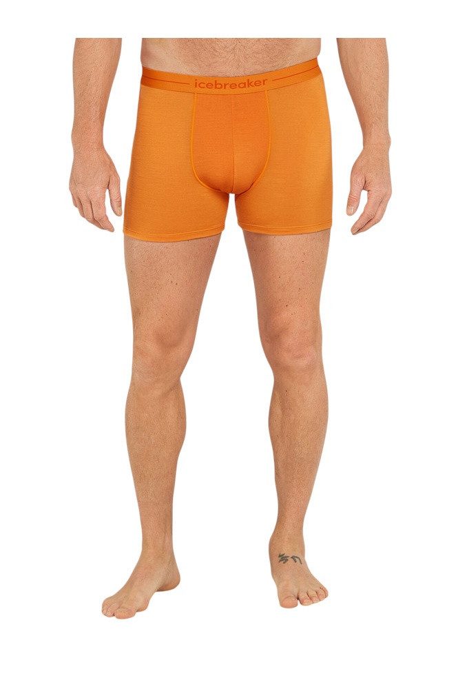 Icebreaker Boxershorts Anatomica (Merinowolle) Unterwäsche gelb Herren