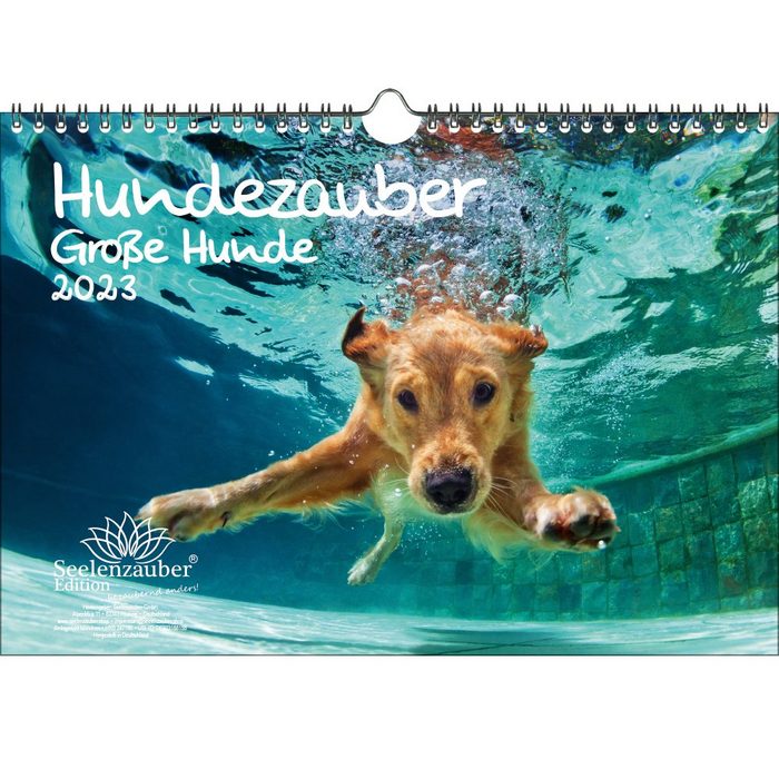 Seelenzauber Wandkalender Hundezauber Große Hunde DIN A4 Kalender für 2023 Welpen und Hunde -