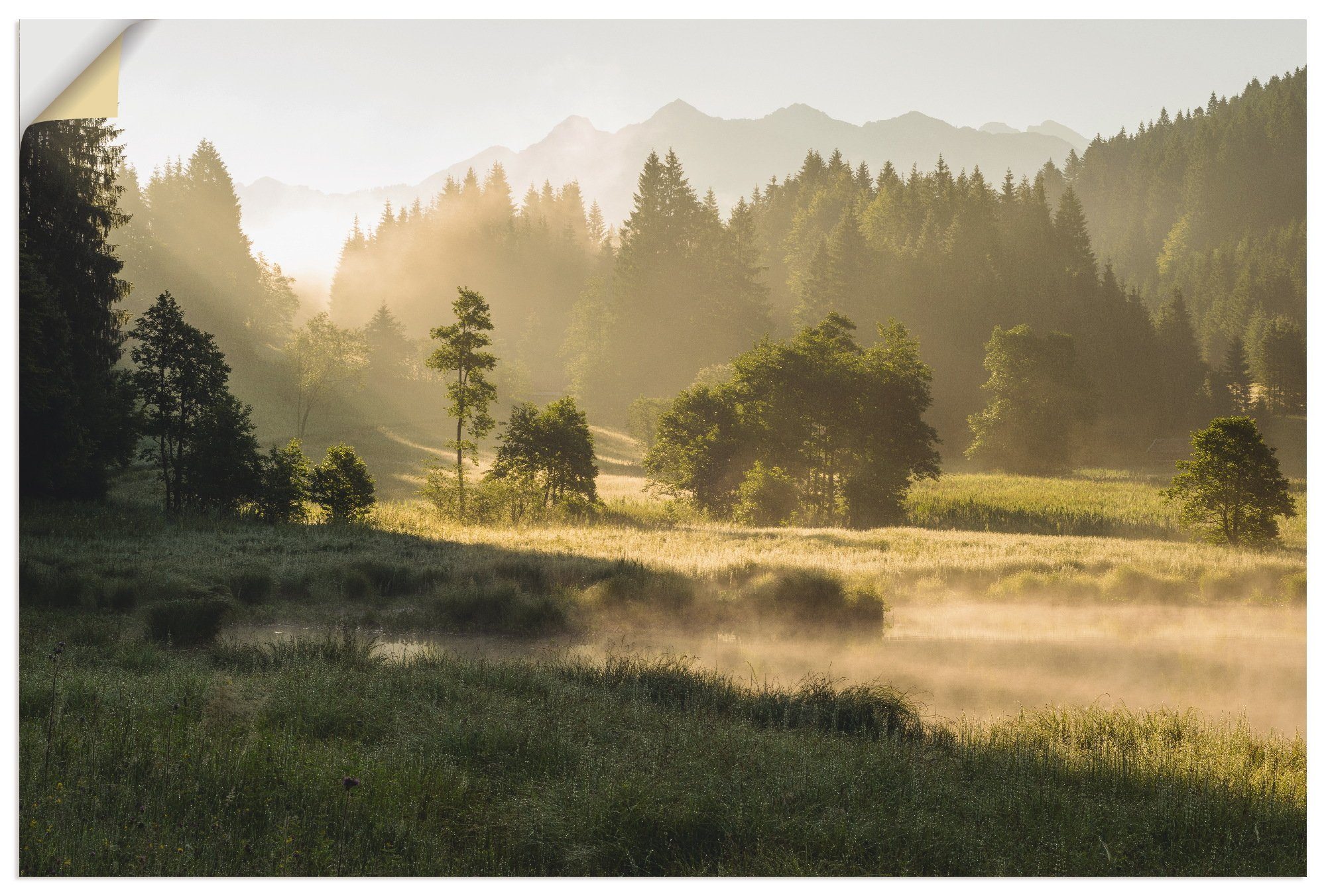 Artland Wandbild Sommermorgen in den Alpen, Wiesen & Bäume (1 St), als Alubild, Leinwandbild, Wandaufkleber oder Poster in versch. Größen
