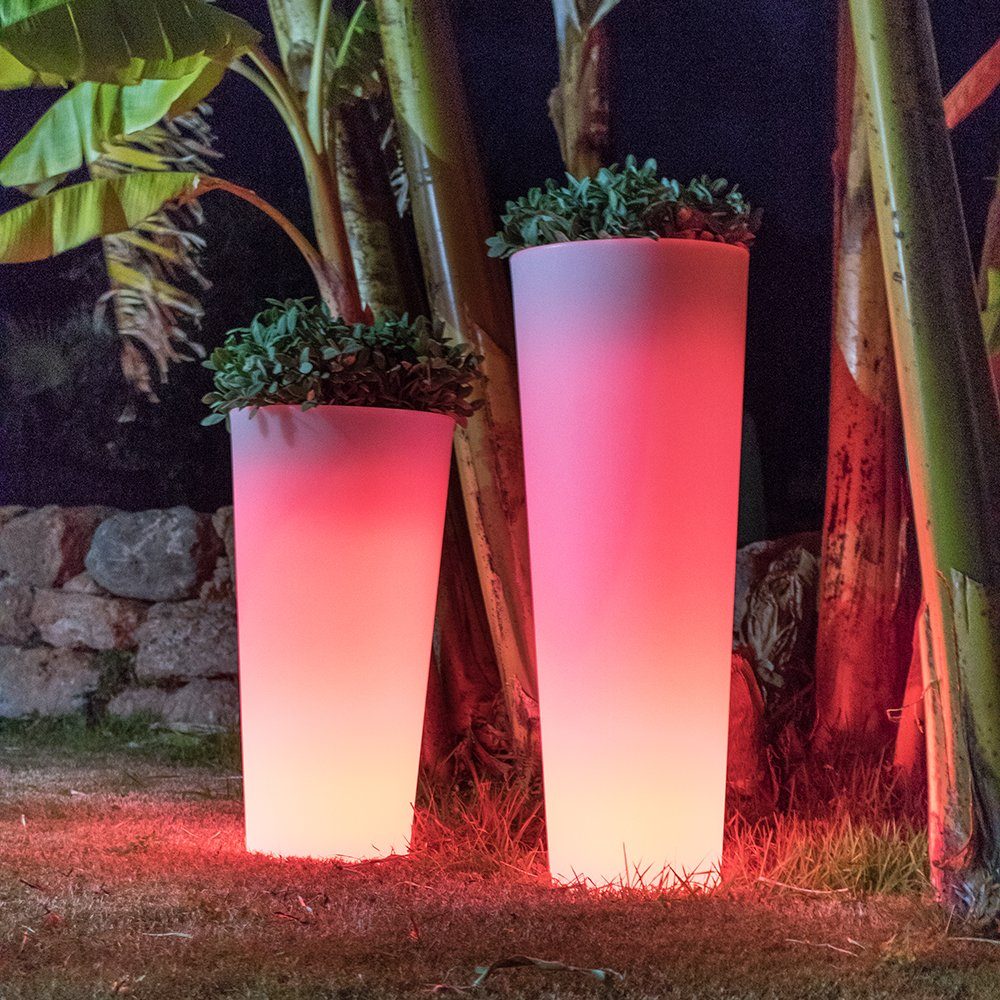 Licht-Trend Gartenleuchte Ficus leuchtender LED mit Warmweiß - Blumentopf RGB Akku und Kaltweiß & Weiß, Fernbedienung