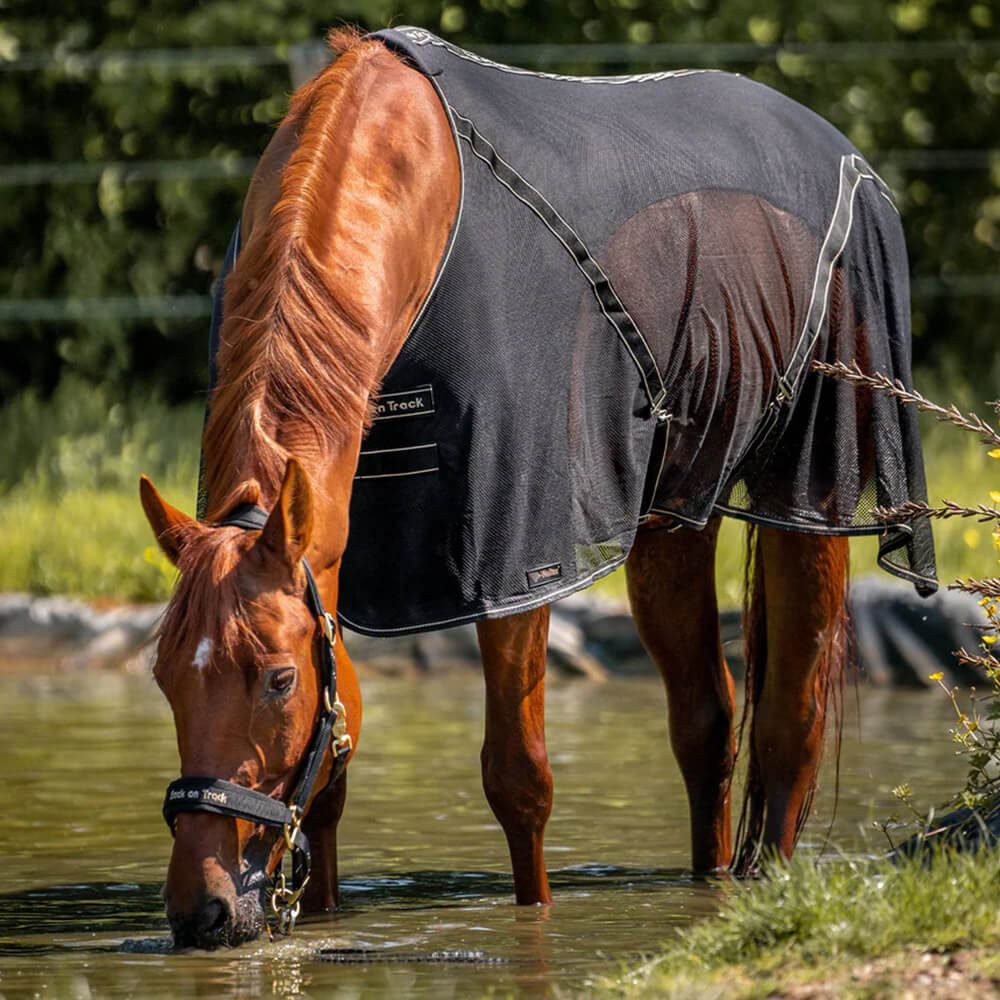 Back on track Ausreitdecke Back on Track Cooler-Decke Sienna