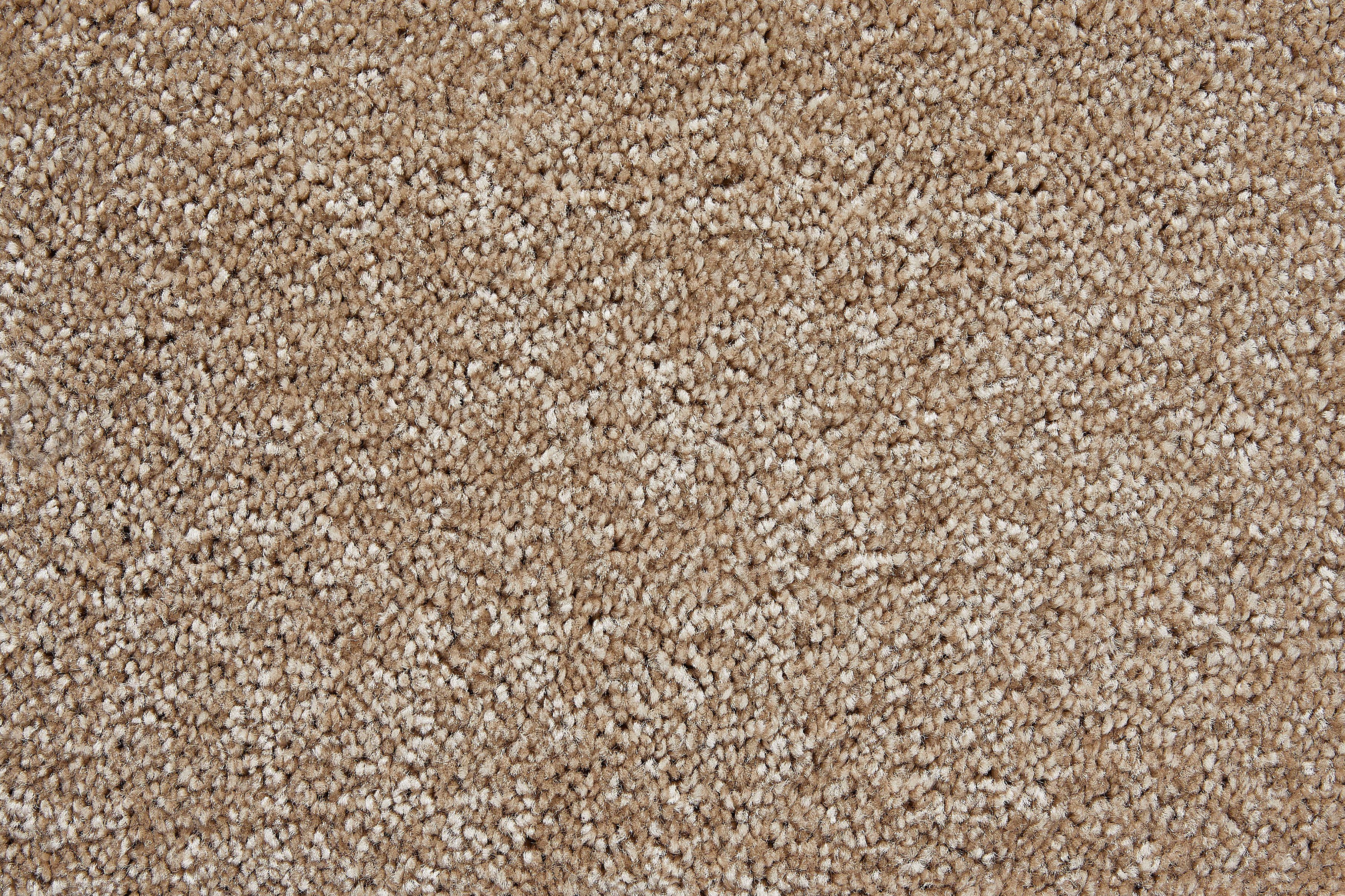 Teppichboden Coupon Frisee-Velours Rennes, Andiamo, rechteckig, Höhe: 14 mm, Uni Farben, Breite 400 cm oder 500 cm, strapazierfähig, pflegeleicht beige