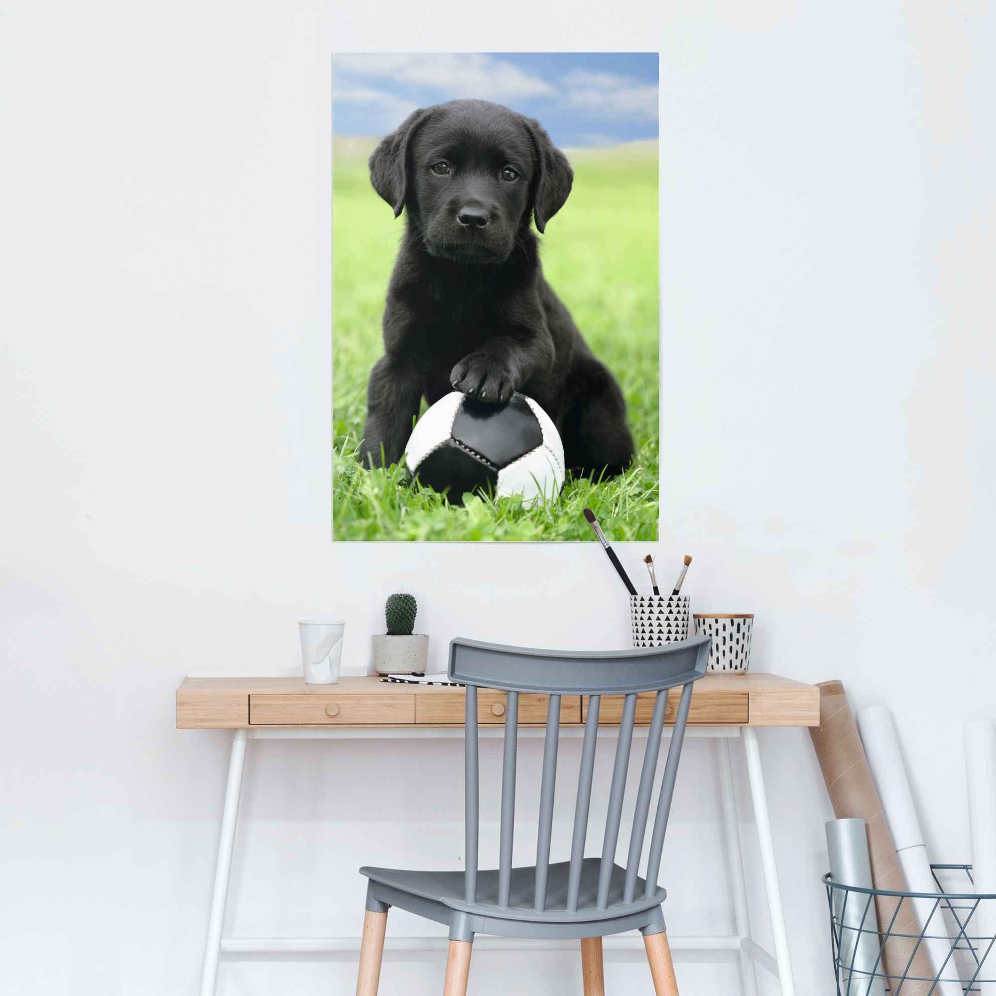Reinders! Poster Labrador Fußball, (1 St) Welpe