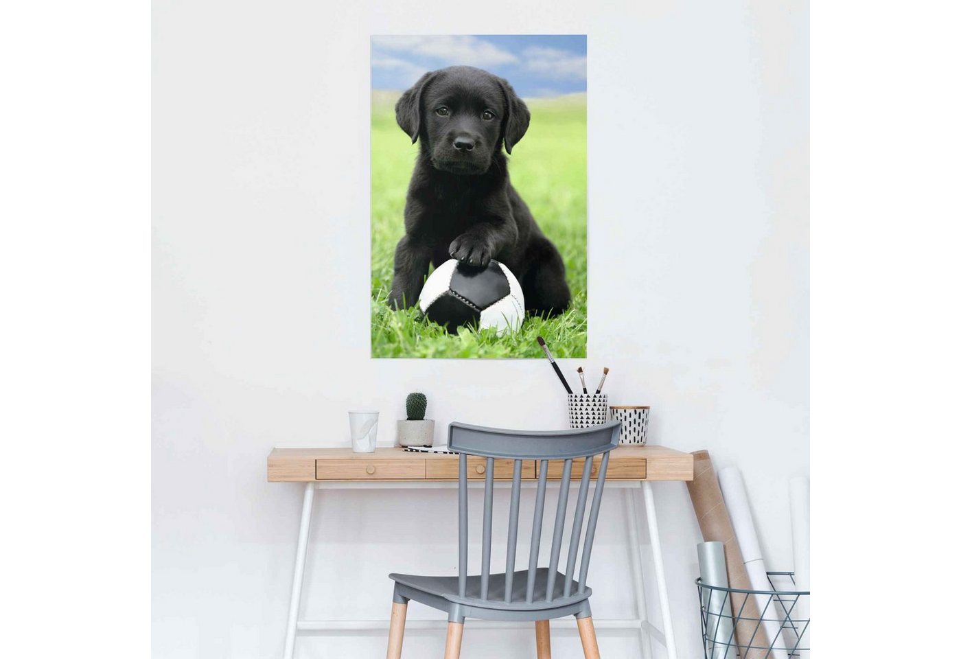 Reinders! Poster »Labrador Welpe Fußball«, (1 Stück)-HomeTrends