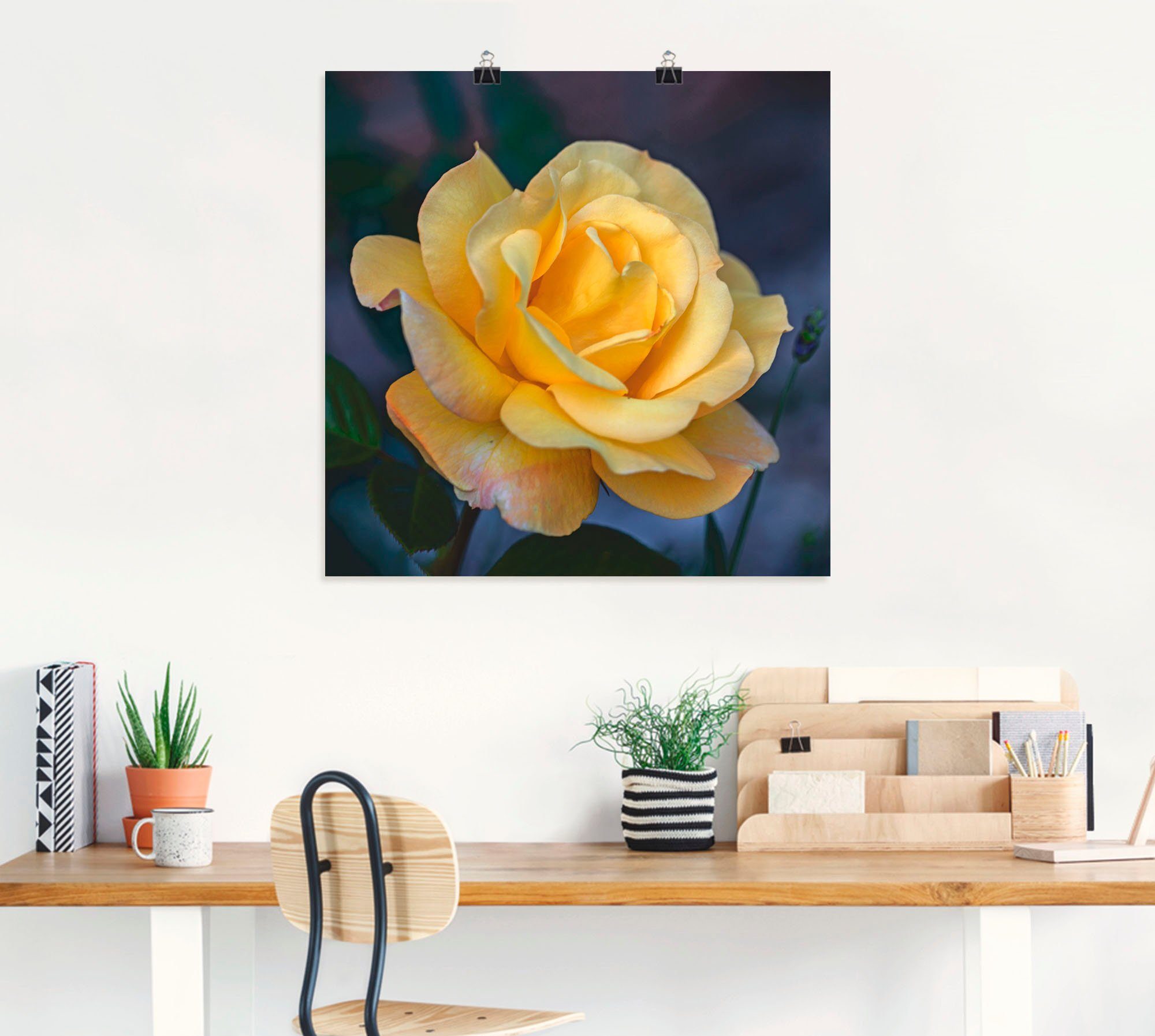 Artland Poster Gelbe Rose, Blumen (1 St), ohne Rahmen