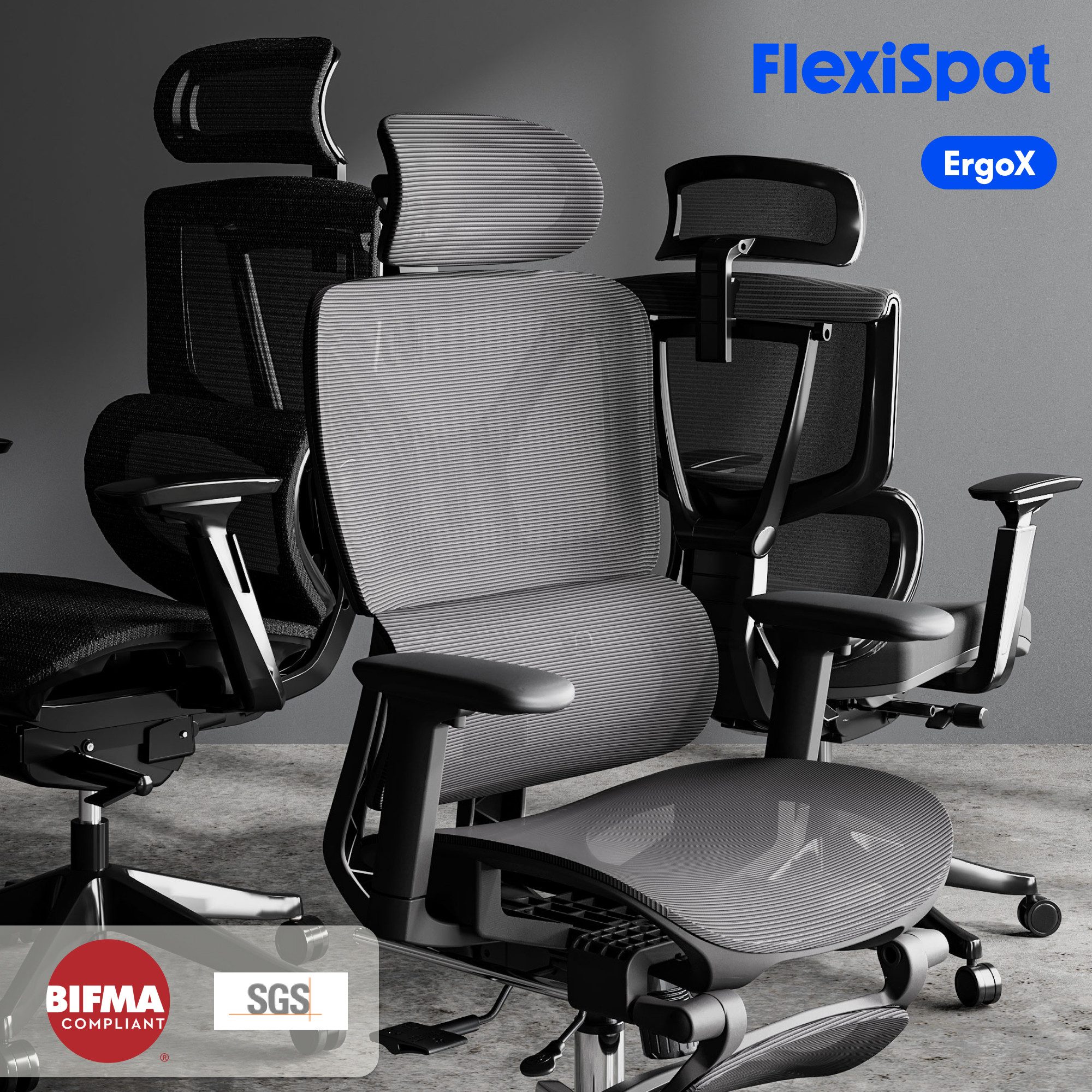 FLEXISPOT Bürostuhl ErgoX, Schreibtischstuhl Premium Ergonomischer (Rückenl günstig online kaufen