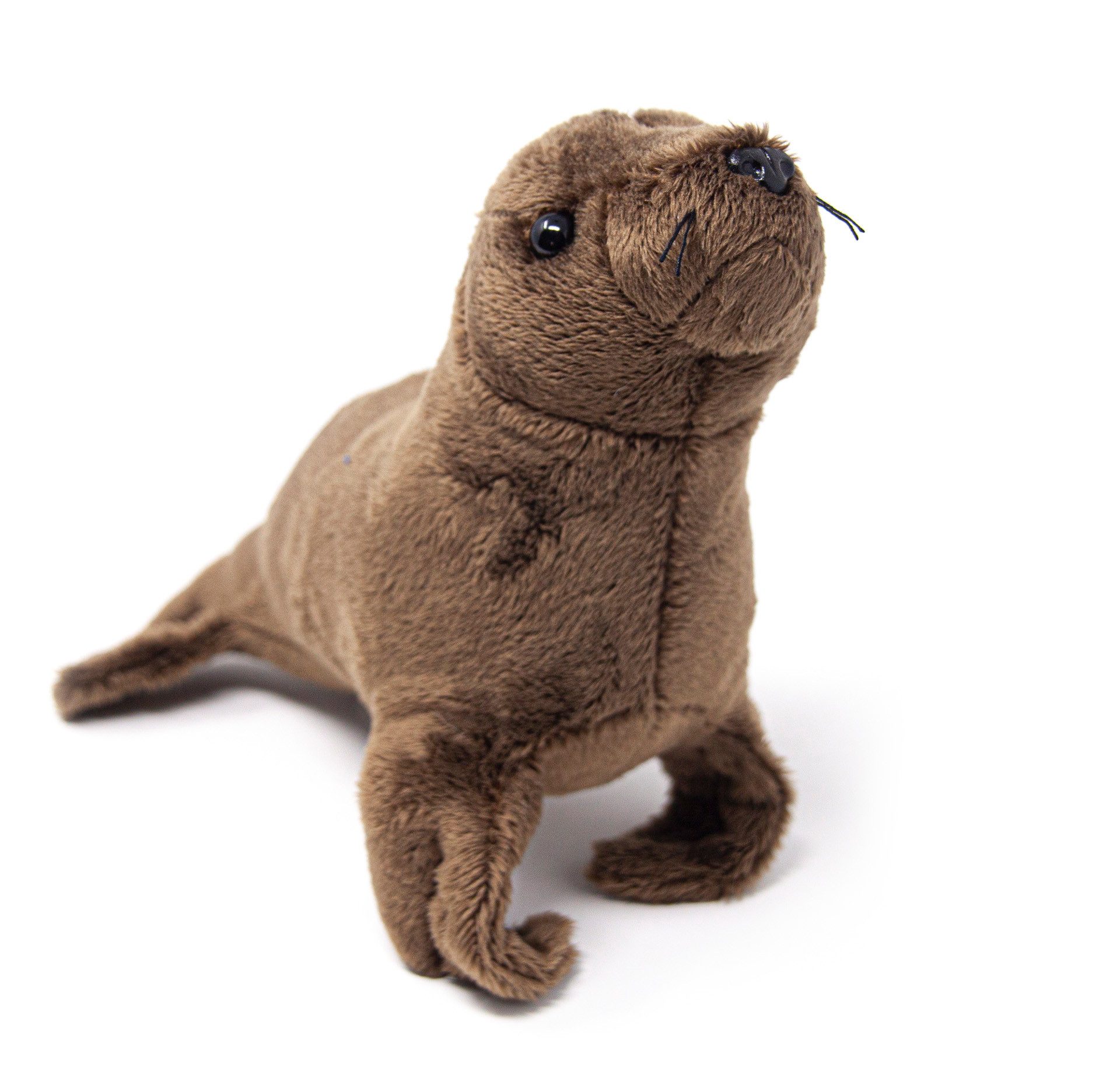 Cornelißen Kuscheltier Cornelissen - Kuscheltier - Seelöwe - 20 cm