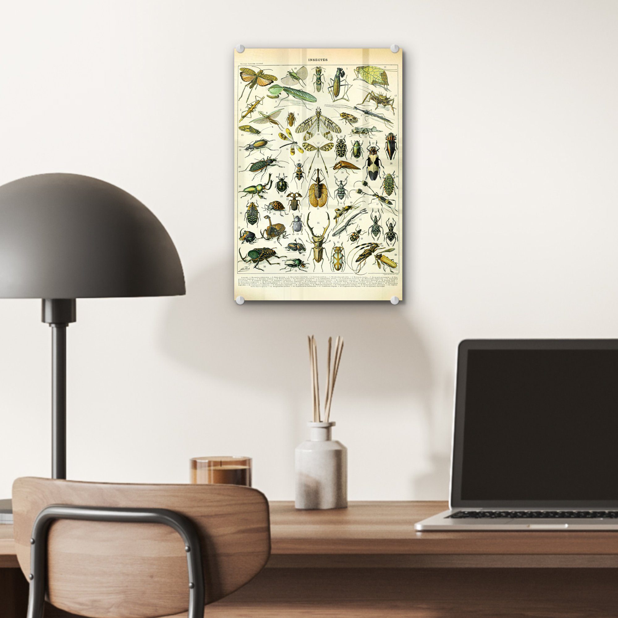 Wandbild St), (1 Glas auf - Bilder - Glas Acrylglasbild MuchoWow Tiere - Gestaltung, Wanddekoration auf - Foto - Glasbilder Insekten