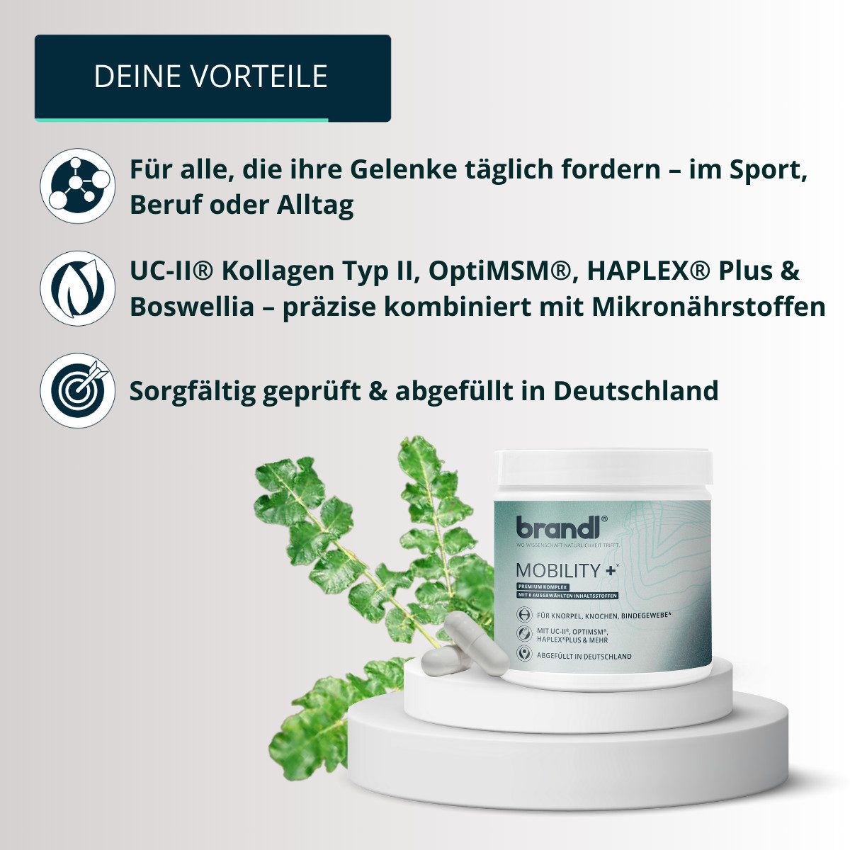 Brandl Nutrition Kollagen Typ 2 – Mobility + All in One Kolagen Kapseln für Gelenke Kapseln, Collagen Peptide – Mobility Gelenkkapseln all in one brandl®