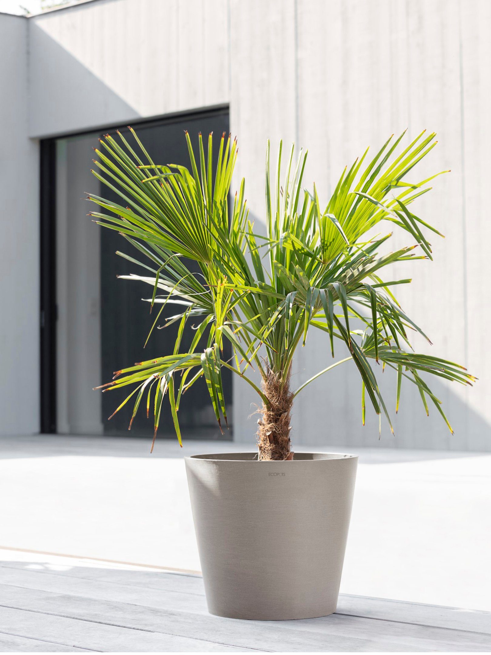 ECOPOTS Blumentopf Amsterdam 40 + Wassersystem günstig online kaufen