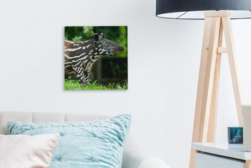 OneMillionCanvasses® Leinwandbild Junger Tapir im Dschungel, (1 St), Leinwand Bilder für Wohnzimmer Schlafzimmer