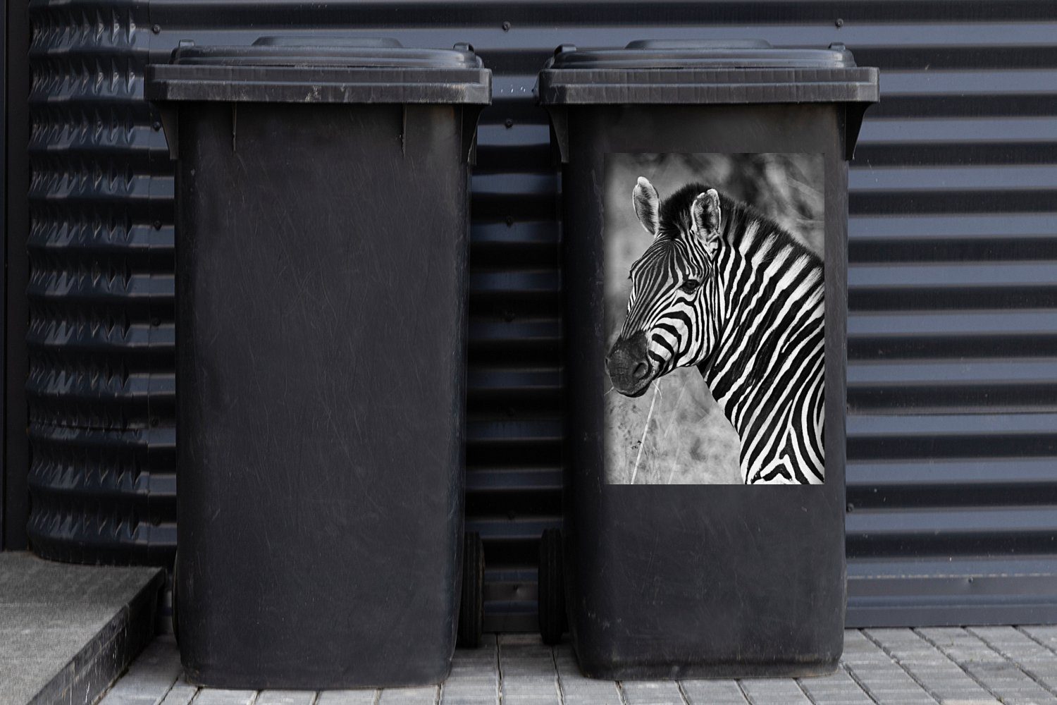 Abfalbehälter Container, Wandsticker St), Sticker, (1 Mülleimer-aufkleber, Zebra-Porträt MuchoWow Mülltonne,