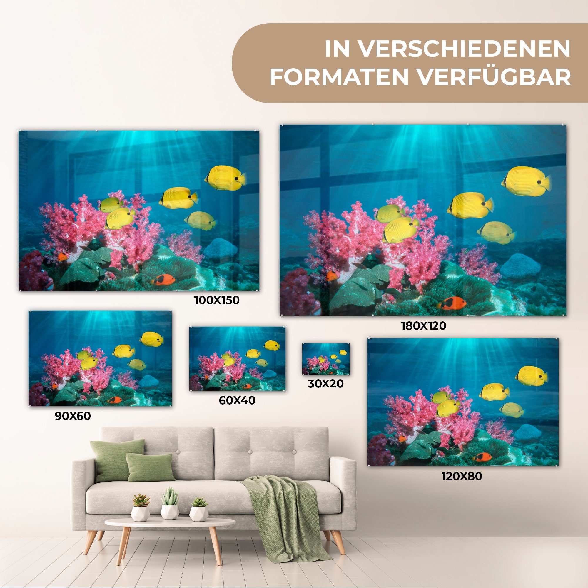Licht, - Wohnzimmer & Koralle Fisch Acrylglasbilder (1 - Schlafzimmer St), MuchoWow Acrylglasbild