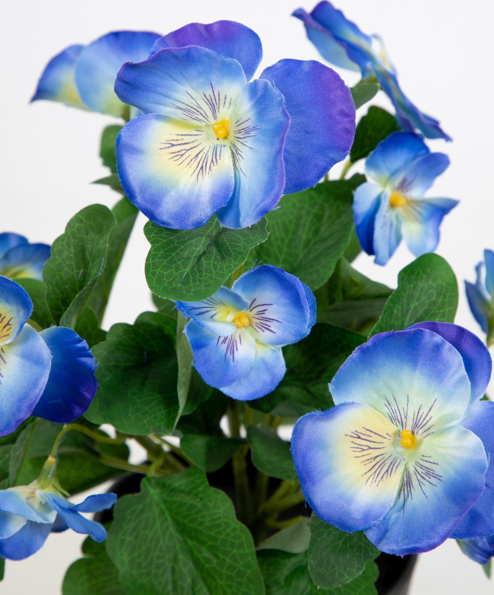 Kunstblume Stiefmütterchen 30cm im Topf FT Kunstpflanzen künstliche Blumen Veilchen, Seidenblumen Roß, Höhe 30 cm, Blau – Bild 3 von 4