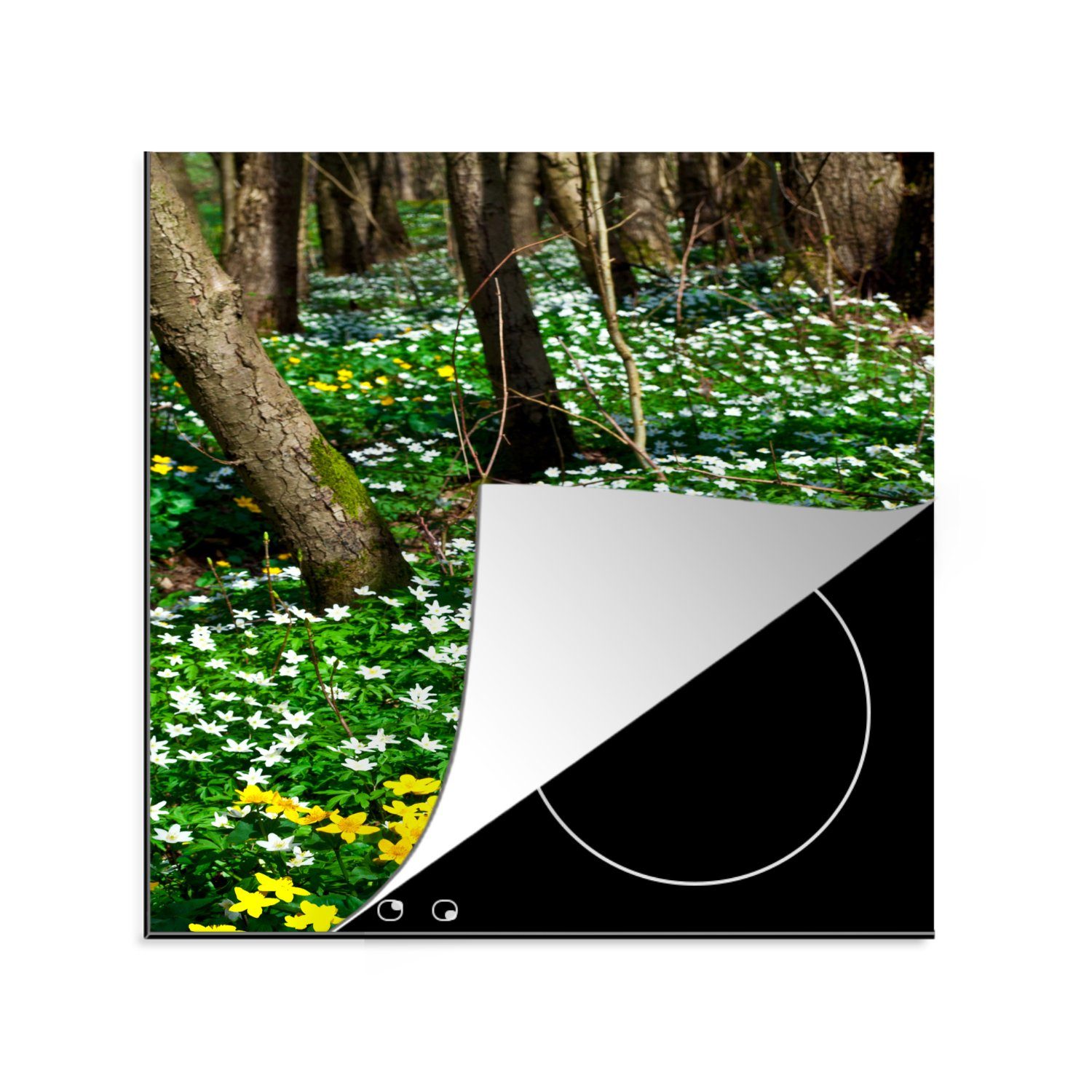 MuchoWow Herdblende-/Abdeckplatte Der Waldboden ist mit den grünen Farben des Waldmeisters bedeckt, Vinyl, (1 tlg), 78x78 cm, Ceranfeldabdeckung, Arbeitsplatte für küche