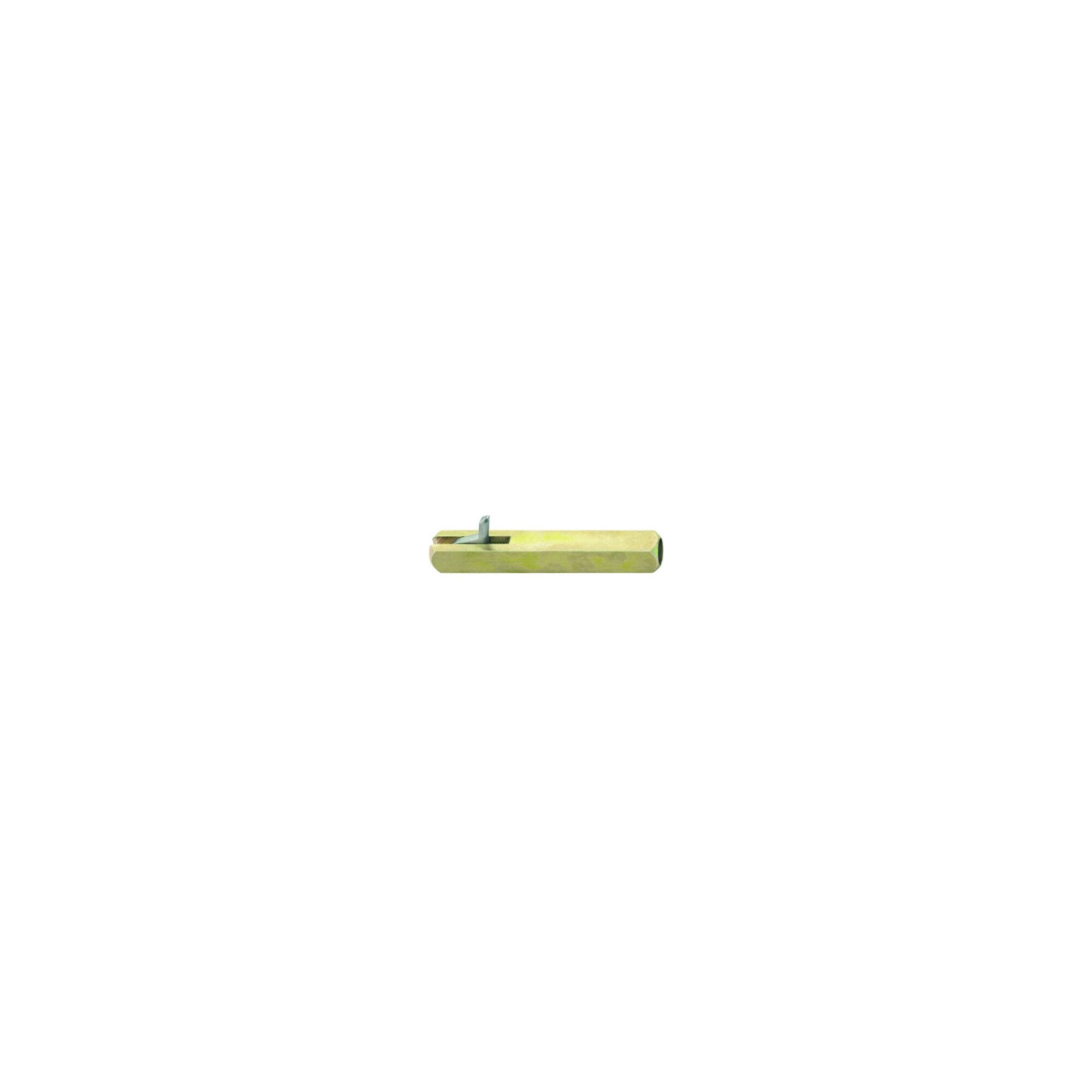 FSB Türbeschlag Stabil-Wechselstift ASL® 4-KT.8/10x70mm STA verz.abg.FSB