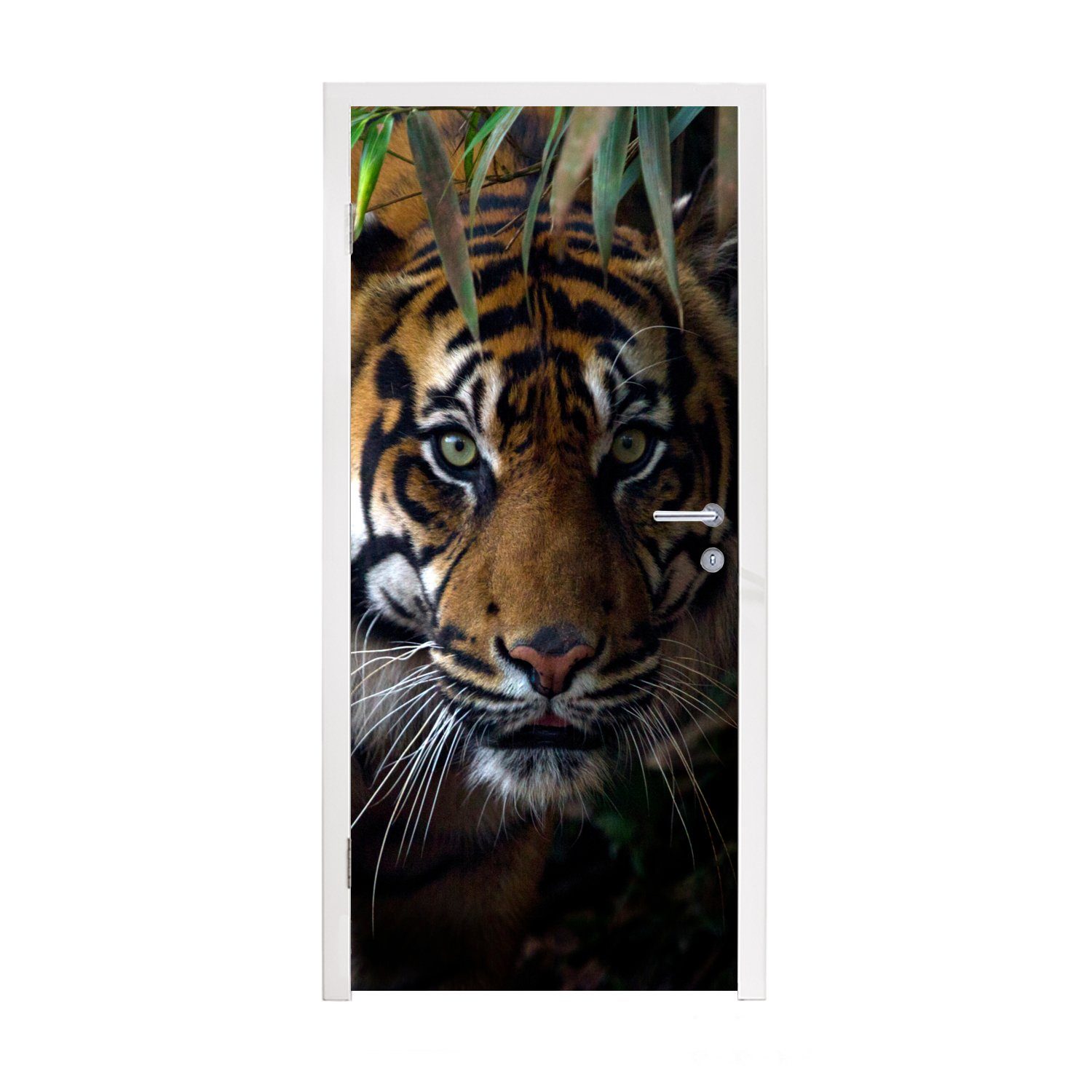 MuchoWow Türtapete Tiger - Blätter - Dschungel - Tiere - Wild, Matt, bedruckt, (1 St), Fototapete für Tür, Türaufkleber, 75x205 cm