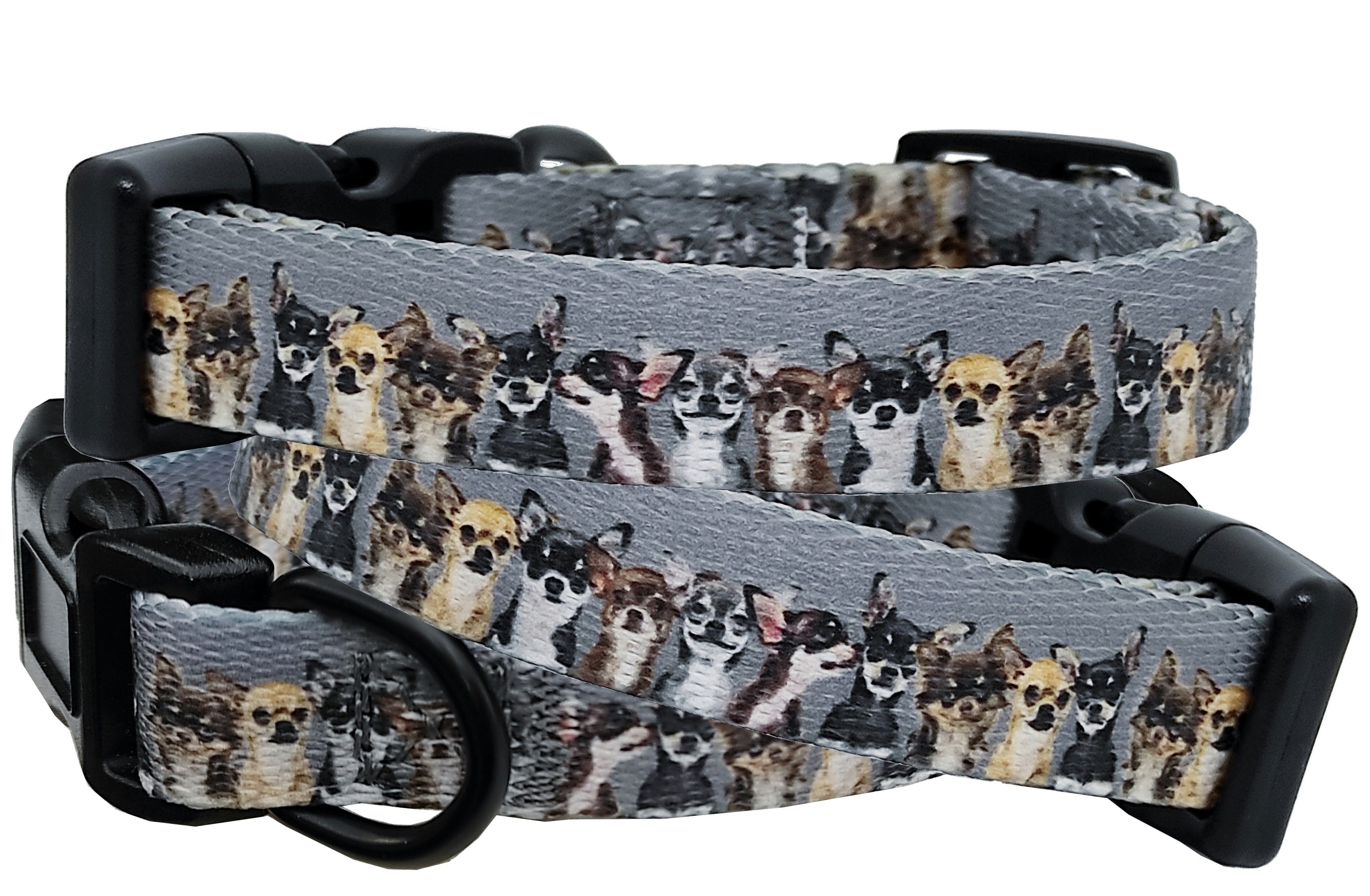 Beroni Hunde-Halsband Chihuahua Halsband mit Motiven verstellbar grau, Geschenk, auch zum Geschirr tragbar, leicht, ausgefallen