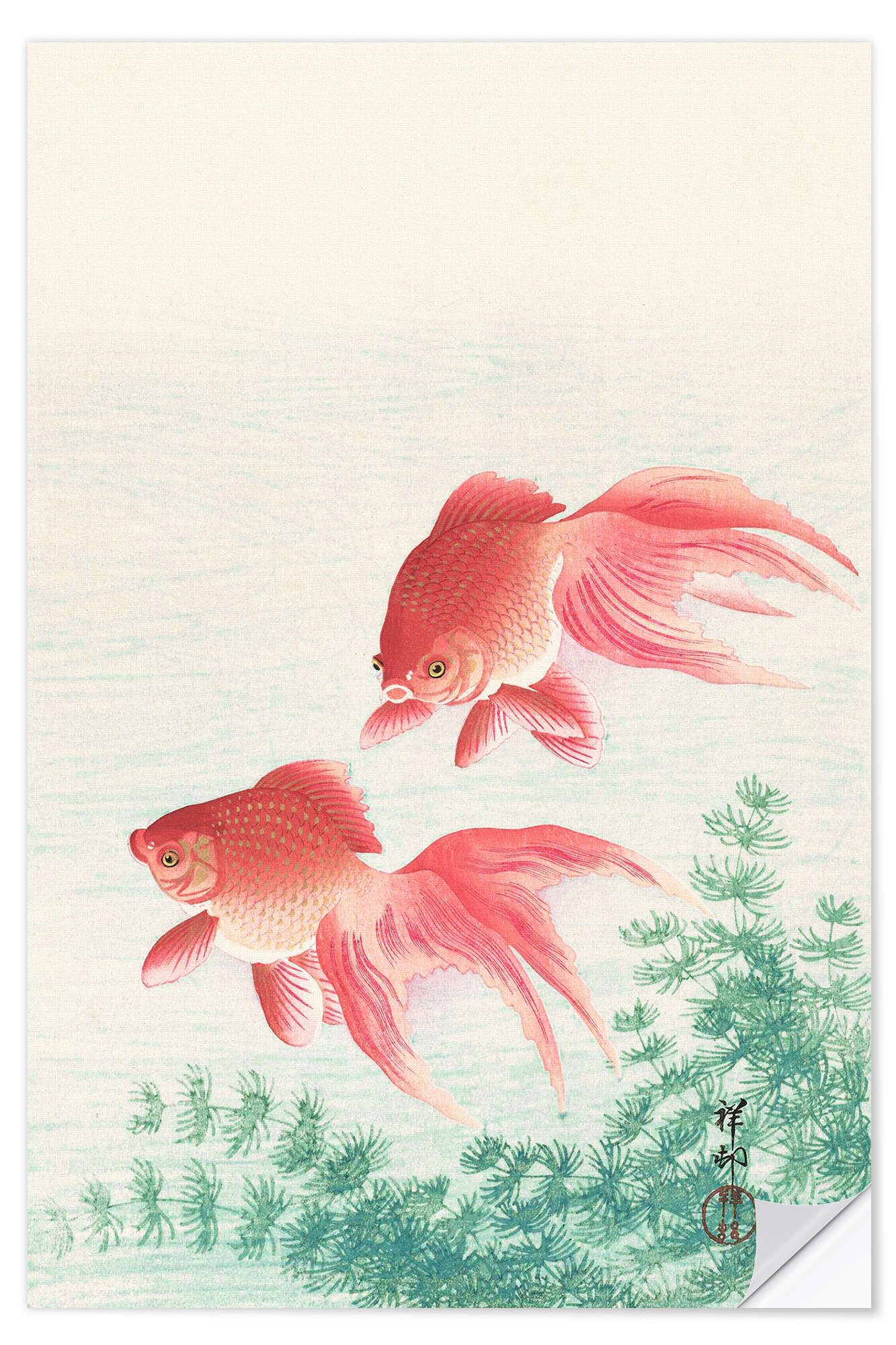 Posterlounge Wandfolie Ohara Koson, Zwei Goldfische, Malerei