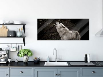 Pixxprint Glasbild Weißer heulender Wolf im Wald, Weißer heulender Wolf im Wald (1 St), Glasbild aus Echtglas, inkl. Aufhängungen und Abstandshalter