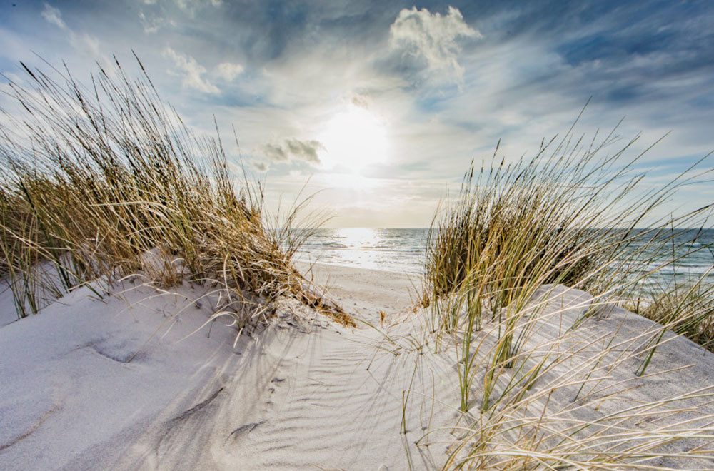 Bönninghoff Leinwandbild, Изображения vom Sonnenuntergang & -aufgang, Landschaft, Landschaften, Meer, Meer Изображения, Natur, Sonnenaufgang, Sonnenaufgang & -untergang, Strand, Strandbilder, Wiesen & Baumbilder, Wiesen & Bäume (1 St)