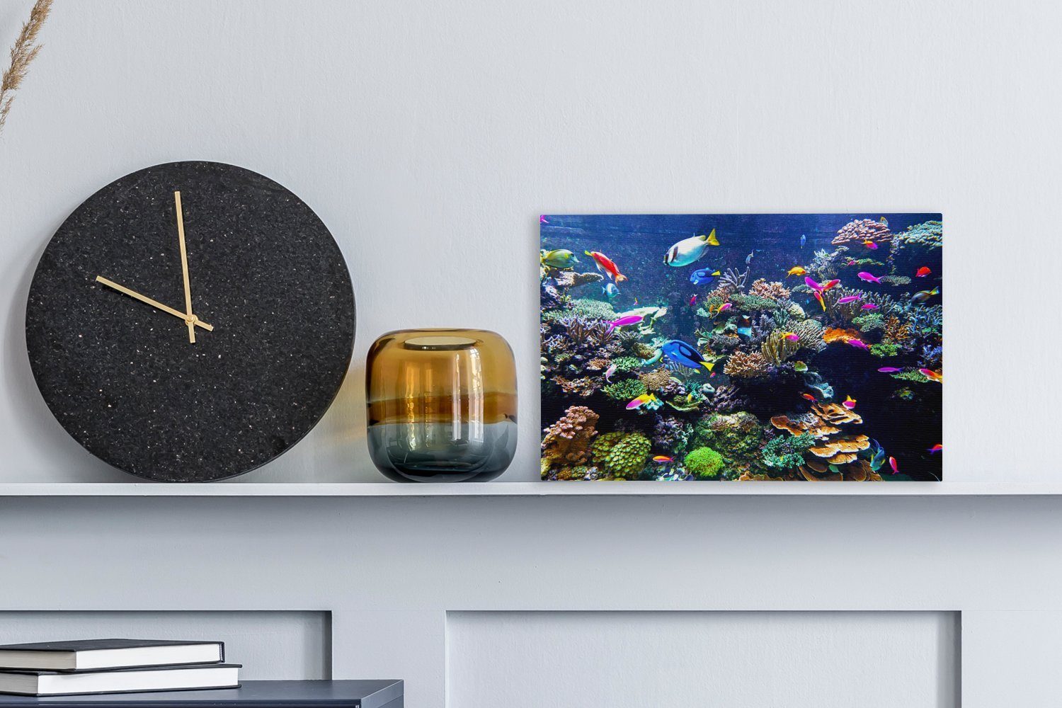 OneMillionCanvasses® Leinwandbild Koralle - Fische - Aquarium, Fotodruck (1 günstig online kaufen