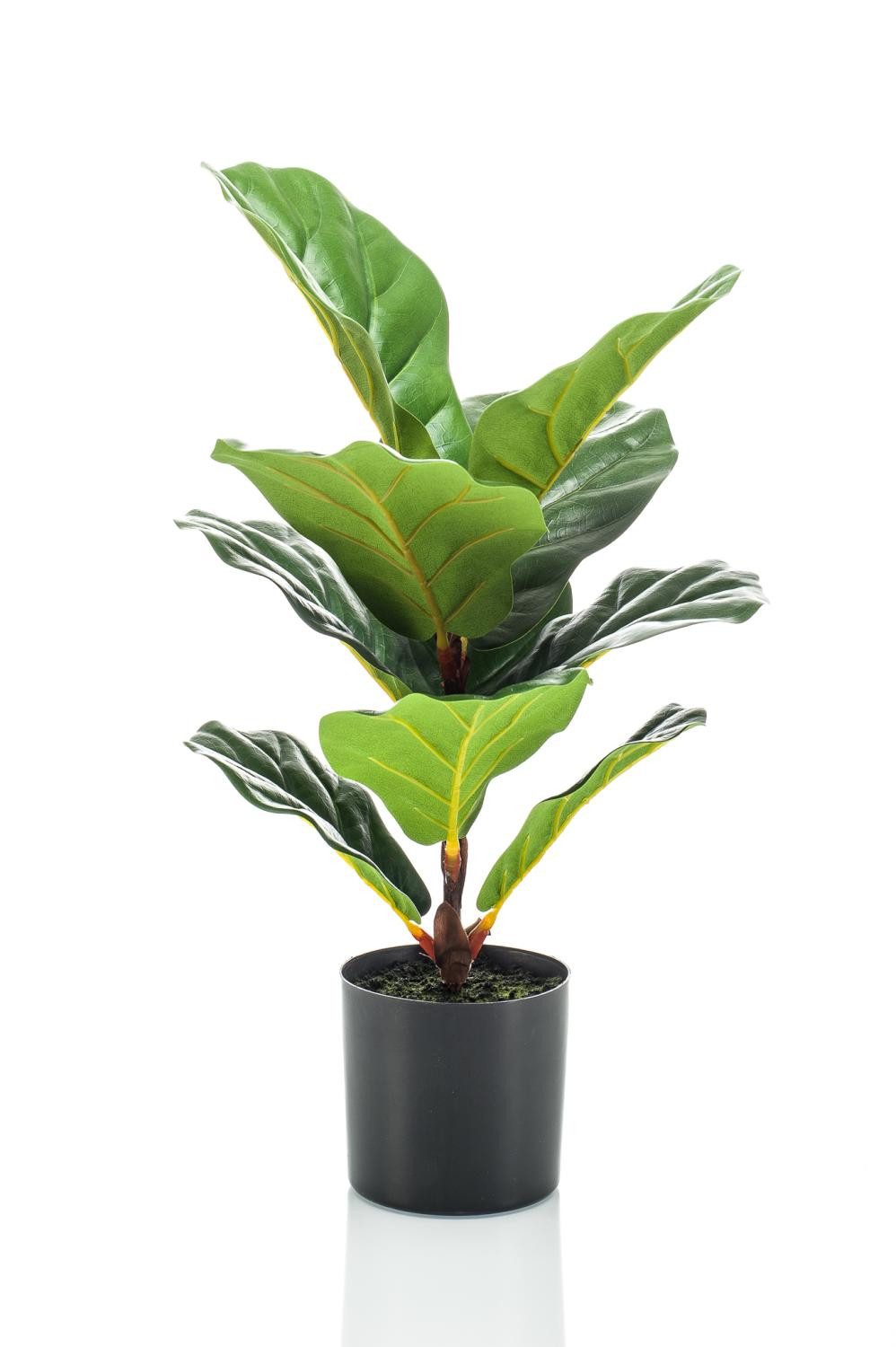 Künstliche Zimmerpflanze Künstlicher Ficus Lyrata Emiliana, grün, 55cm Ficus (Geigenfeige), artplants, Höhe 55.0 cm