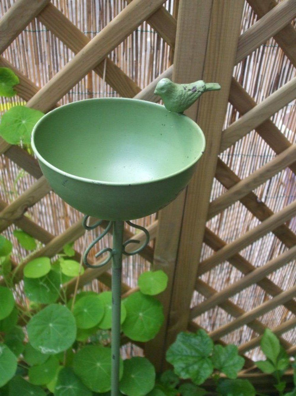 Deko-Impression Vogeltränke Vogeltränke auf Stab Futterstelle Gartenstab Gartenstecker Eisen grün