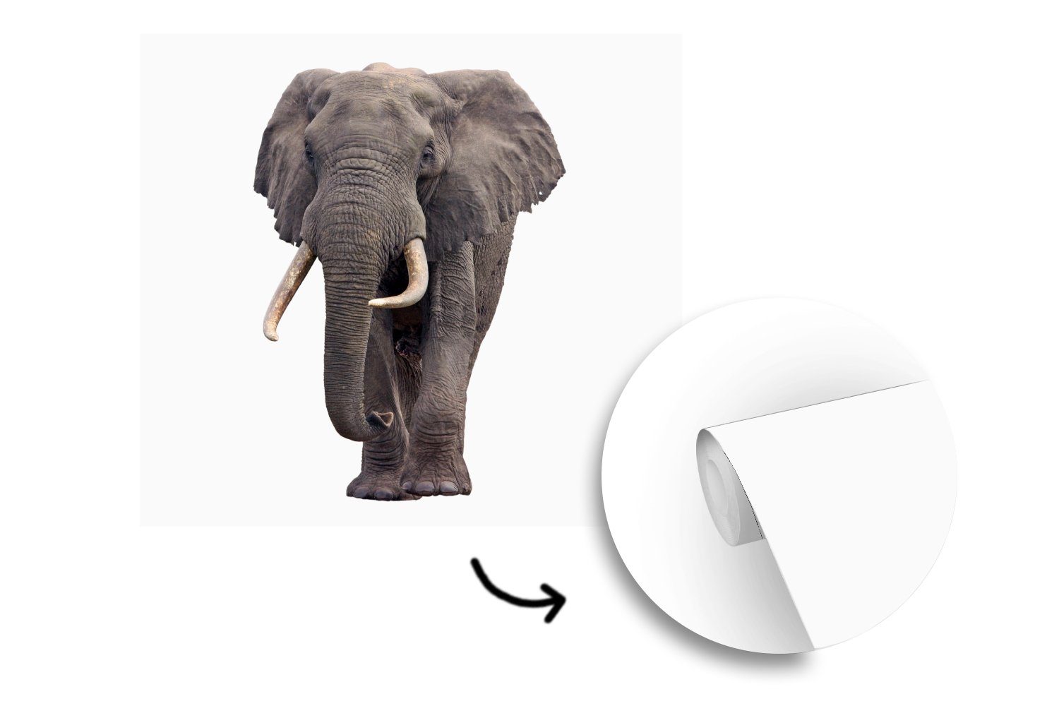 MuchoWow Fototapete Elefant - Afrika für Vinyl Weiß, Wandtapete Schlafzimmer, (5 Matt, oder bedruckt, Tapete St), Wohnzimmer 