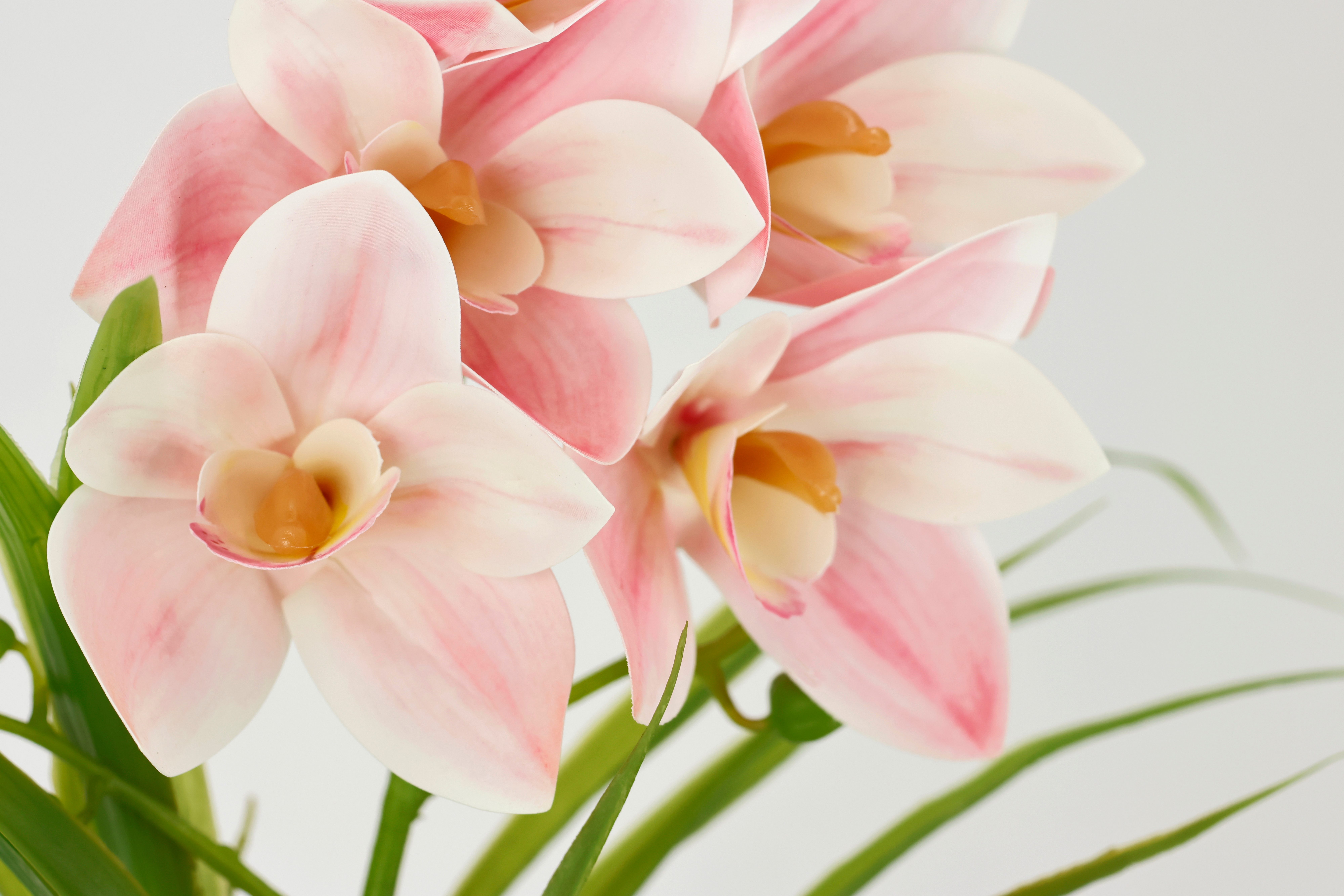 Kunstorchidee Orchidee Phalaenopsis im Topf, I.GE.A., günstig online kaufen