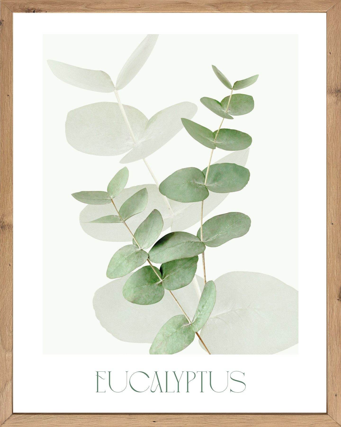 Bönninghoff Bild mit Rahmen Wandbild gerahmt EUCALYPTUS 40x50 cm – Botanik Wanddeko Boho Scandi, Blätter, Eukalyptus, Pflanzen (1 St), mit dekorativem Rahmen
